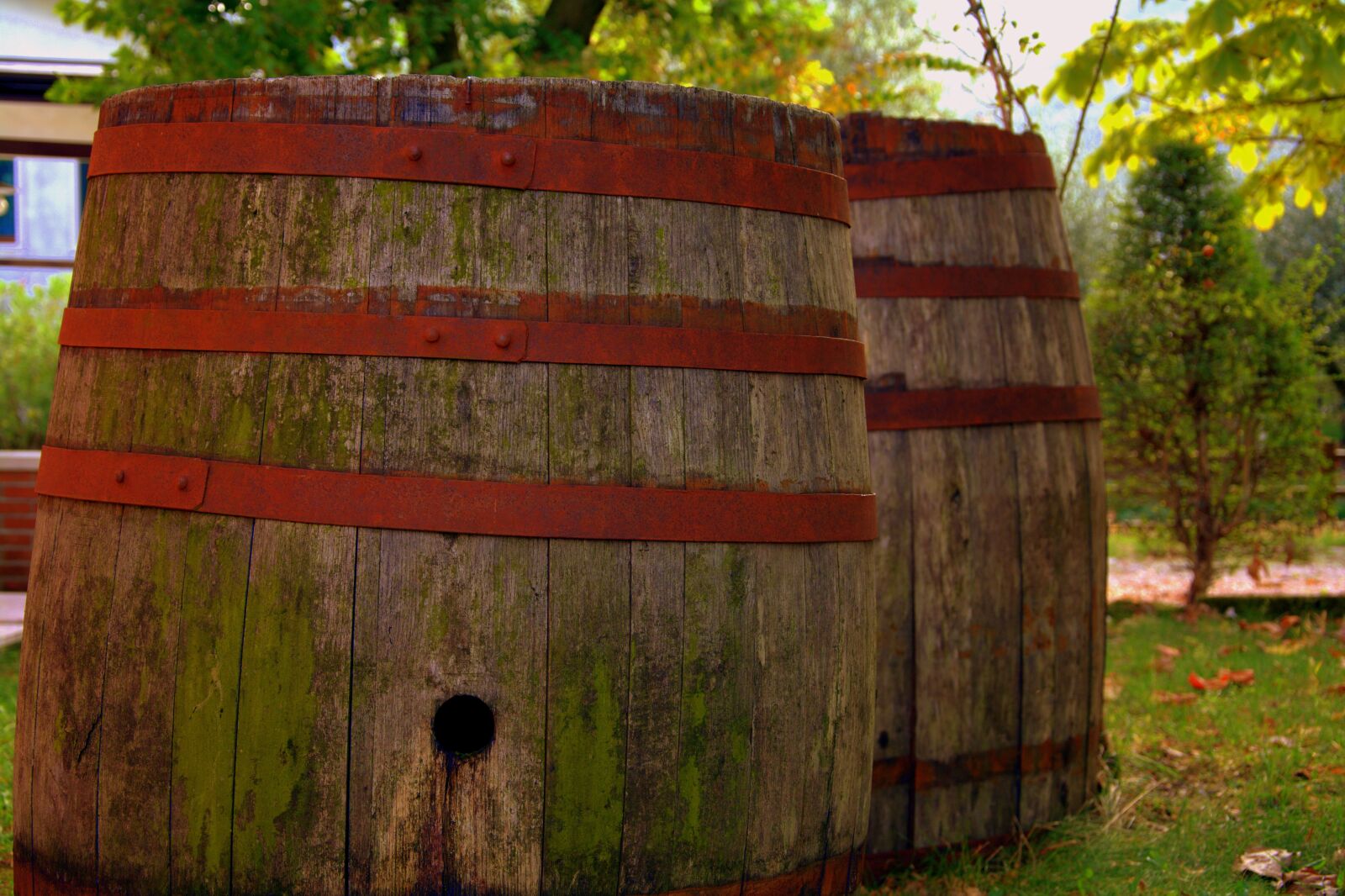 Nikon D7100 sample photo. Botte, wine, tino photography