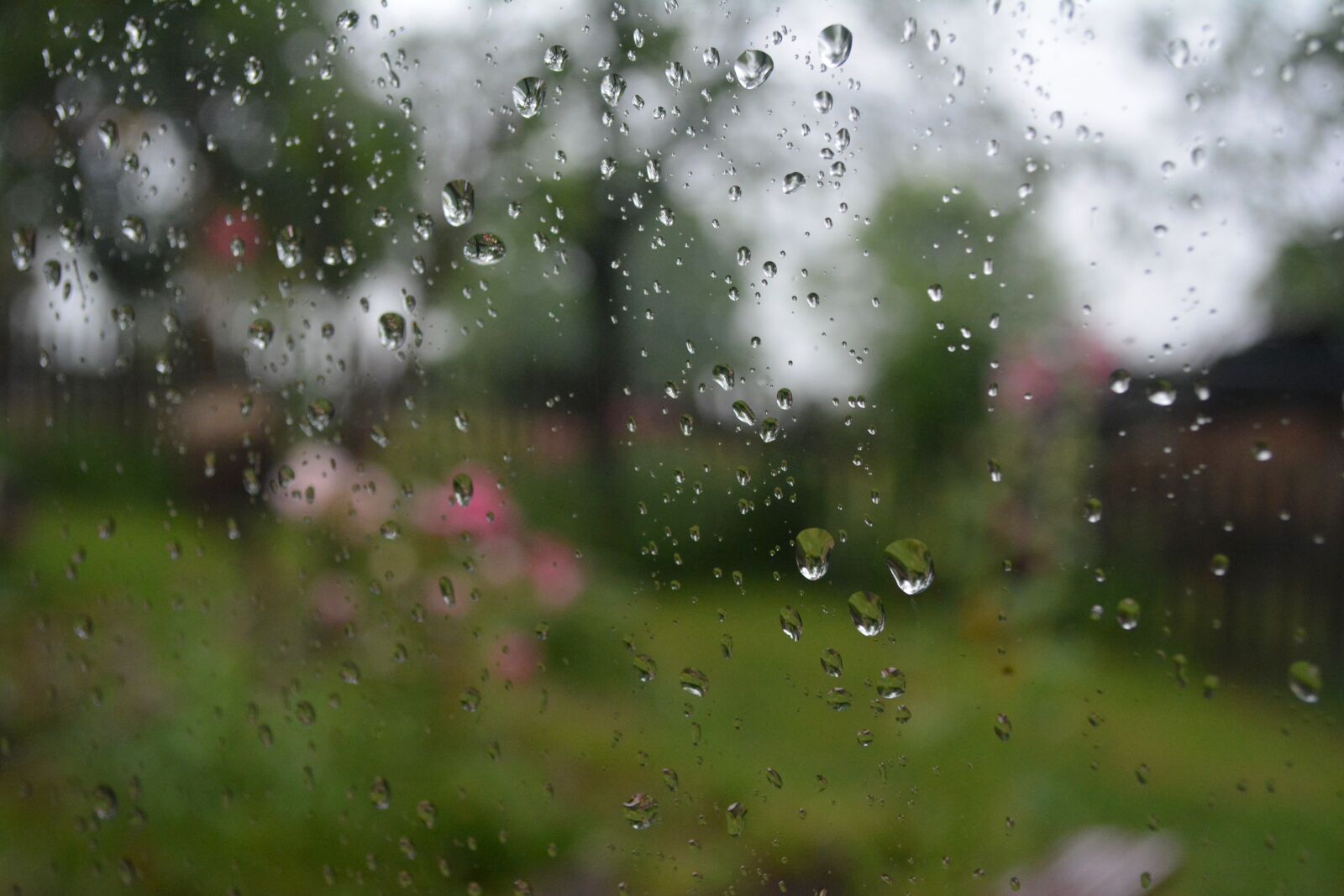 Nikon D5200 sample photo. Rain, drops, glass photography