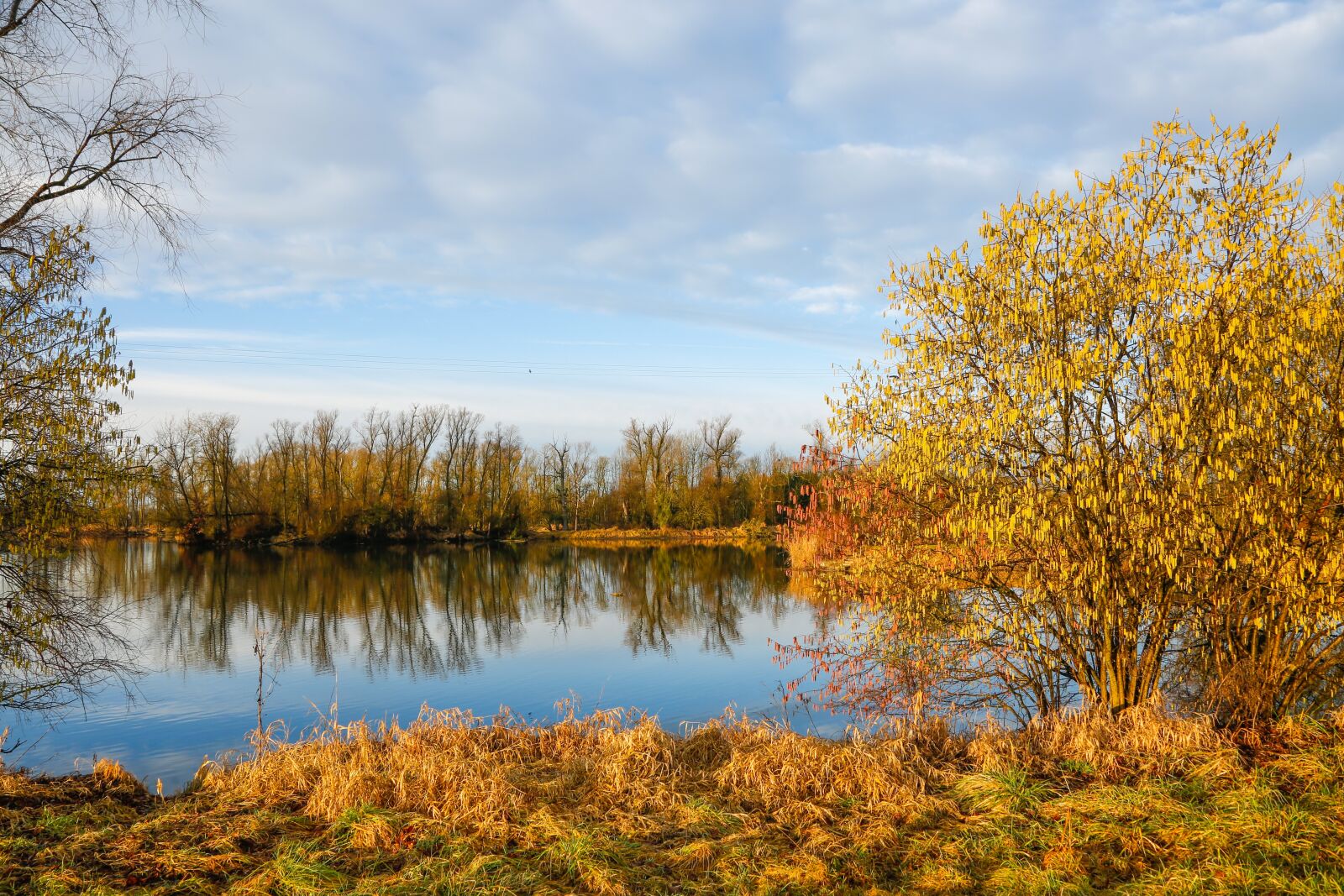 Canon EF 24-105mm F4L IS USM sample photo. Morning, sunrise, lake photography