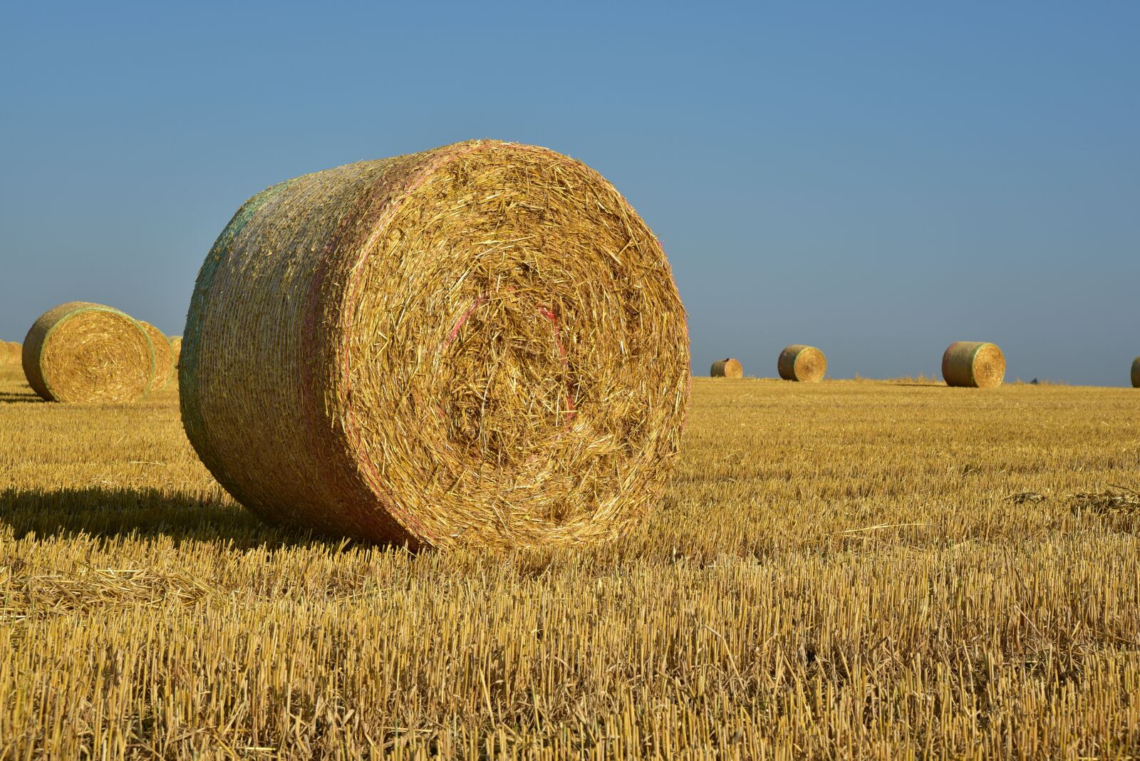 Nikon D750 sample photo. Hay, straw, harvest photography