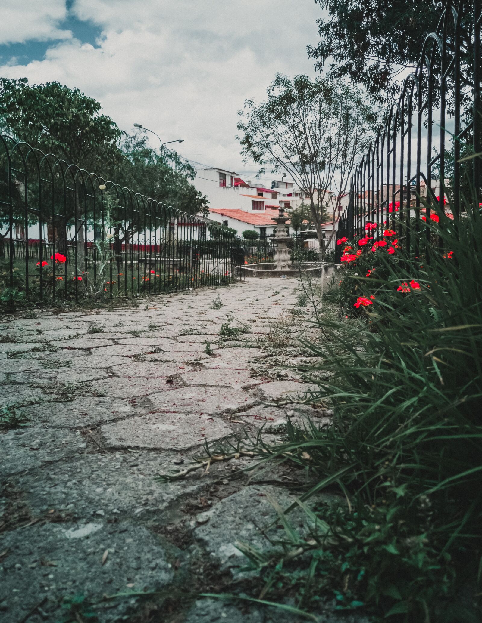 HUAWEI P20 sample photo. Path, park, landscape photography
