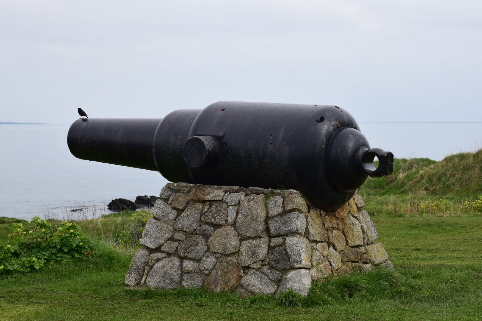 Nikon D3300 sample photo. Gun, ireland, wicklow photography