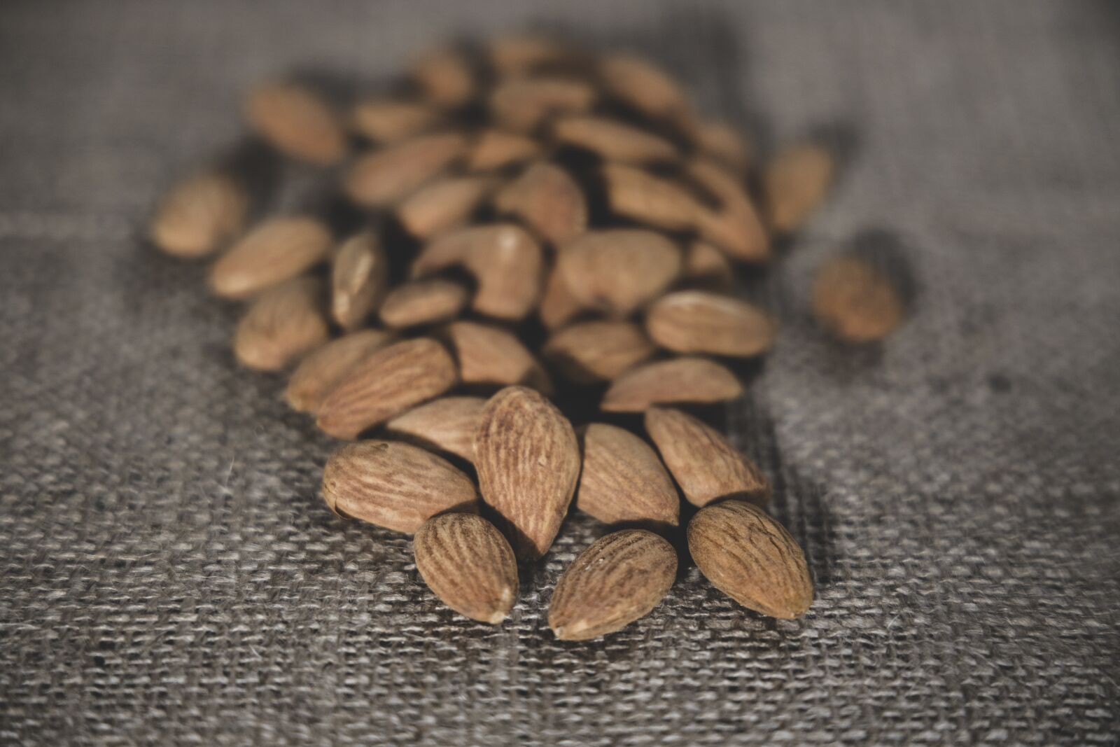 Canon EOS R + Canon RF 24-105mm F4L IS USM sample photo. Almond, dried fruits and photography