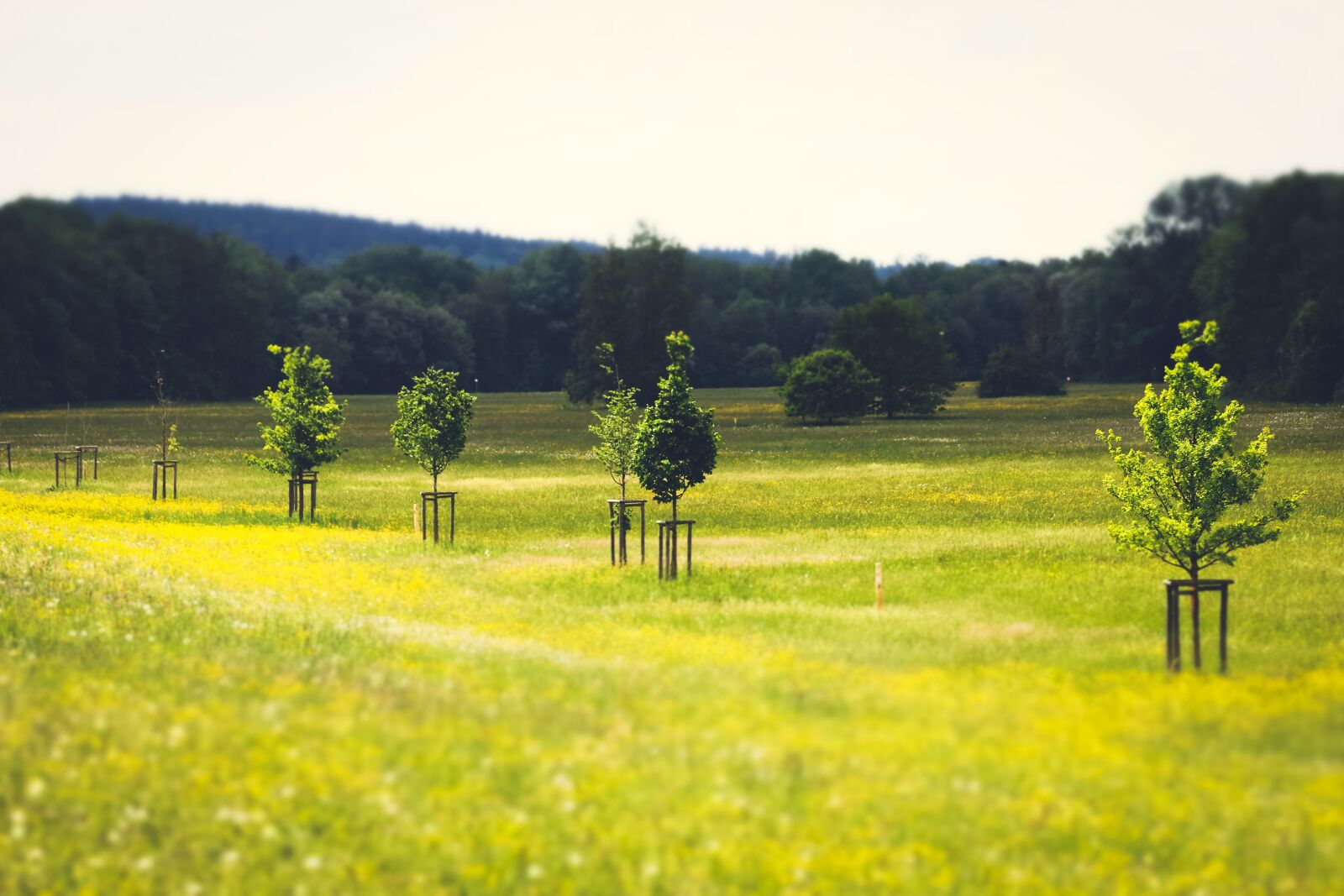 Canon EOS 80D sample photo. Landscape, hiking, nature photography