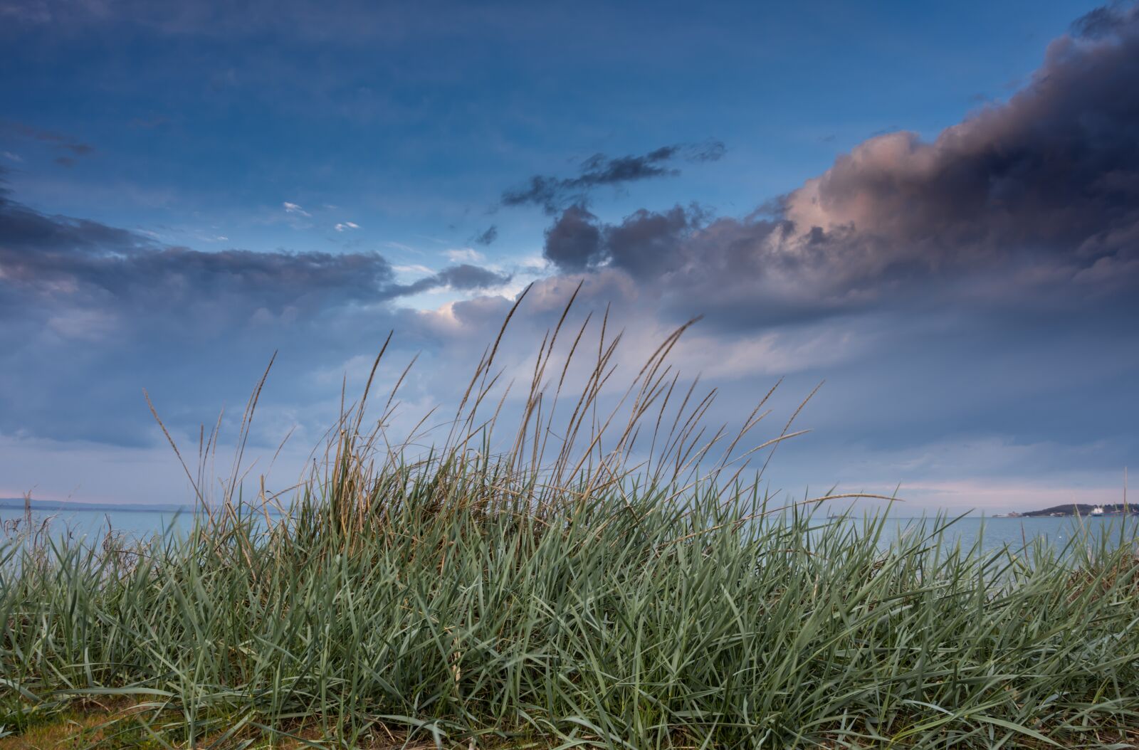 Nikon D7200 sample photo. Sea, grass, beach photography