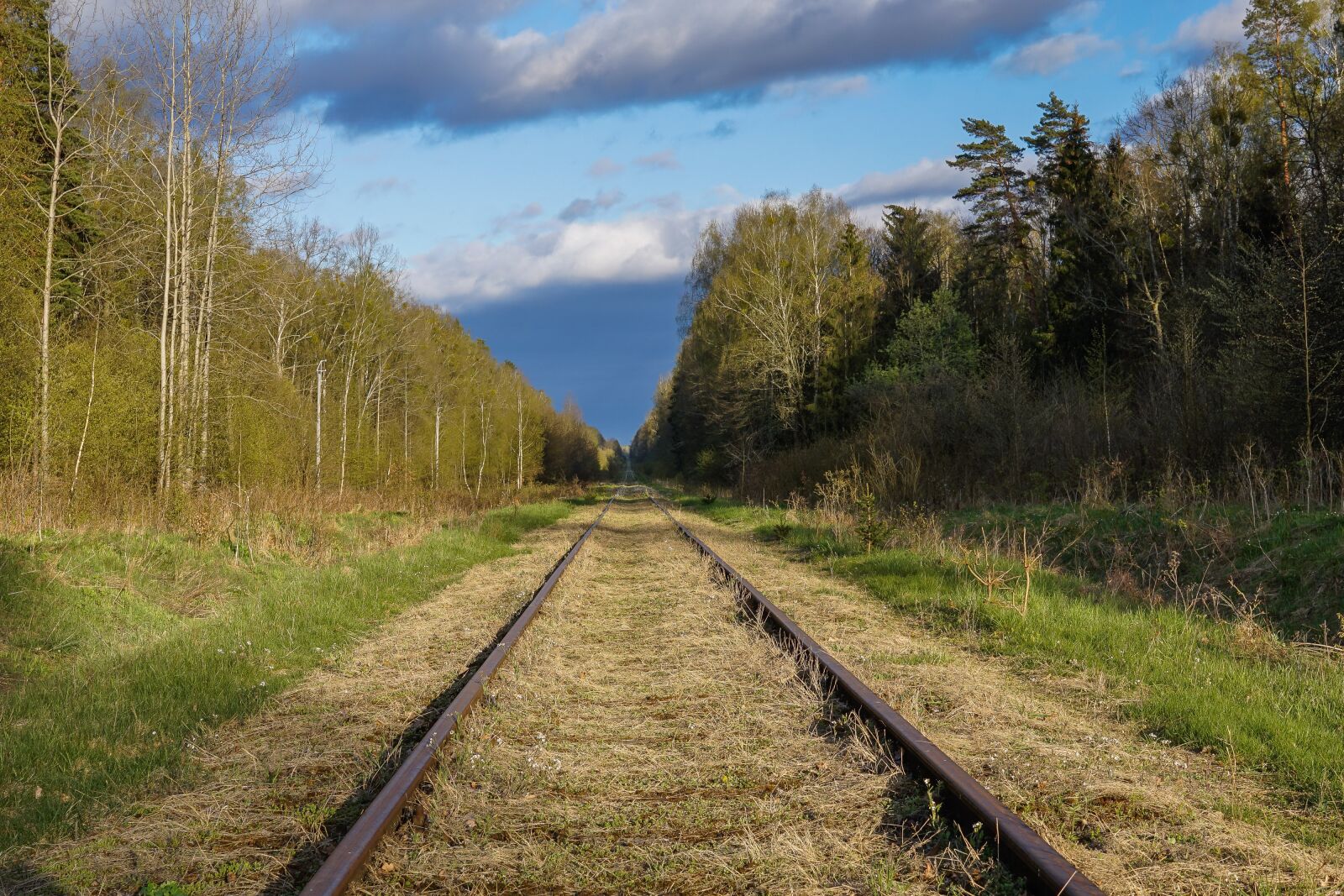 Sony a6000 + Sigma 30mm F2.8 EX DN sample photo. Tracks, railroad tracks, rails photography