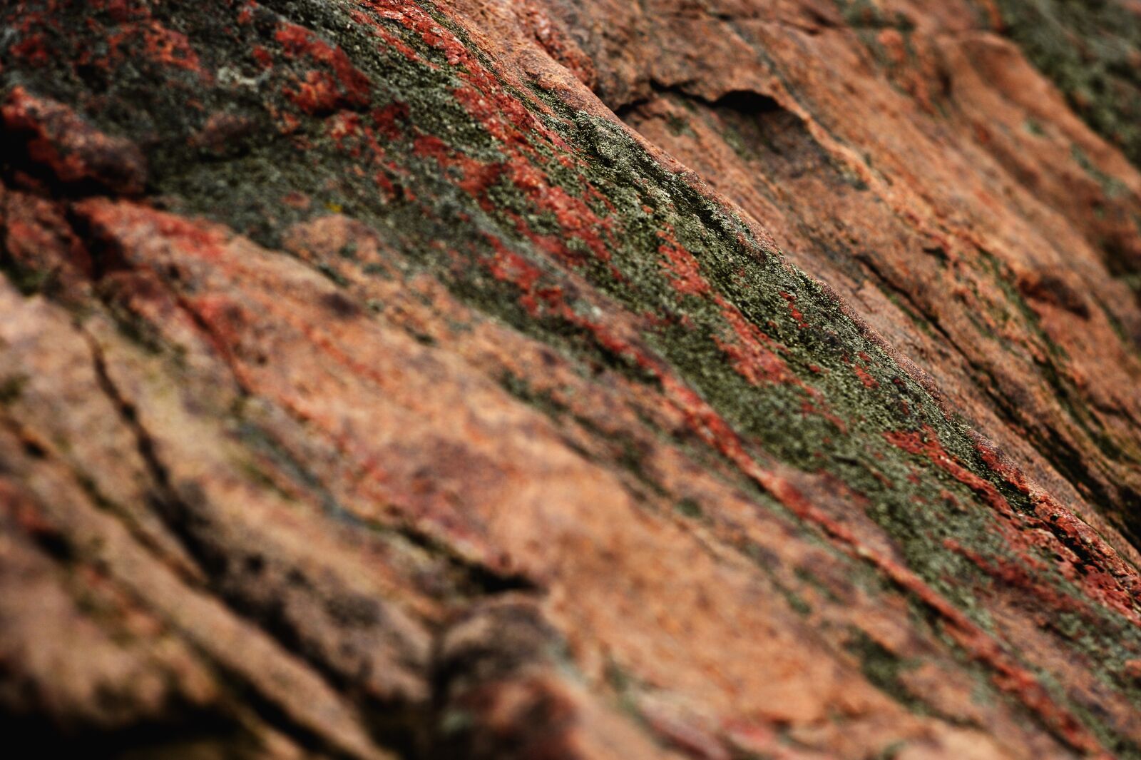 Nikon D3S sample photo. Stone, rock, items photography