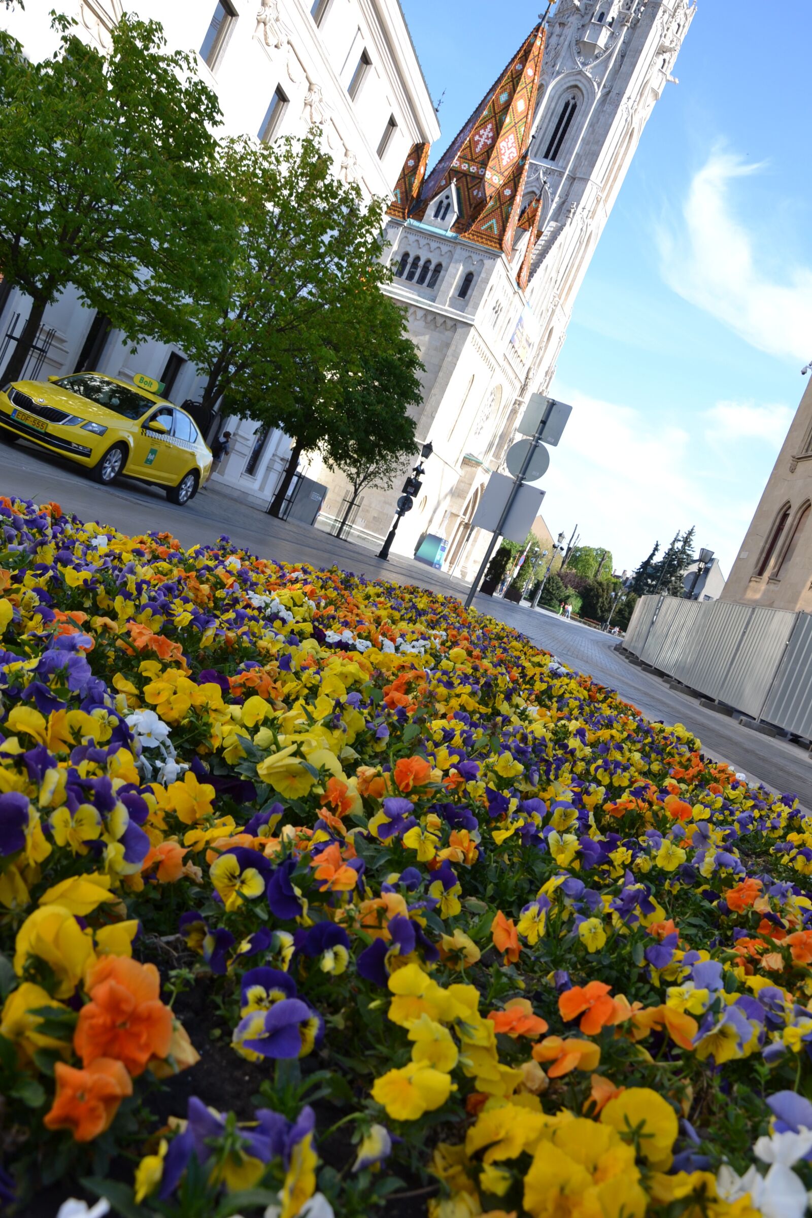 Nikon D3100 sample photo. Buda castle, spring, flowers photography