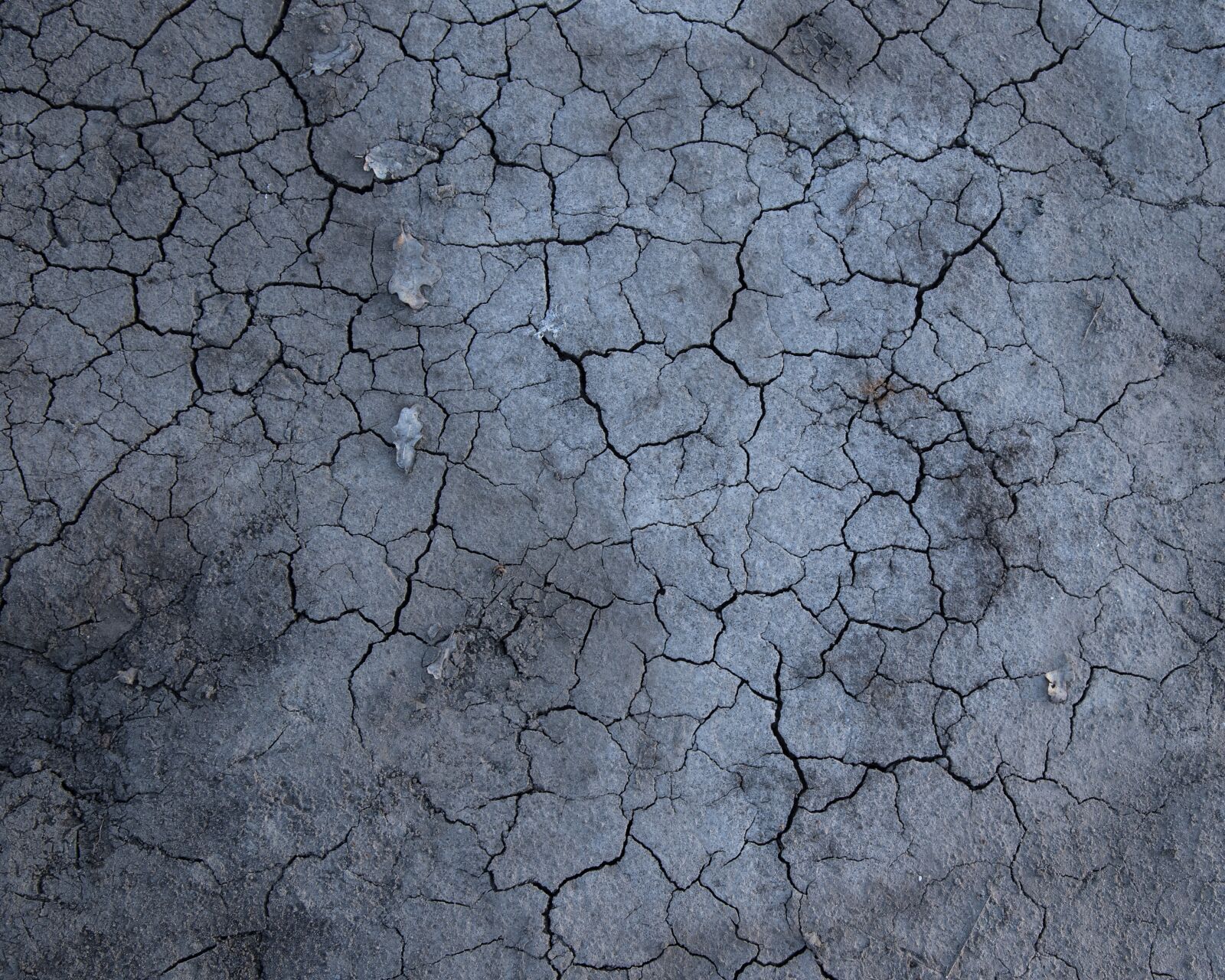 Nikon D750 sample photo. Ground, drought, dry photography