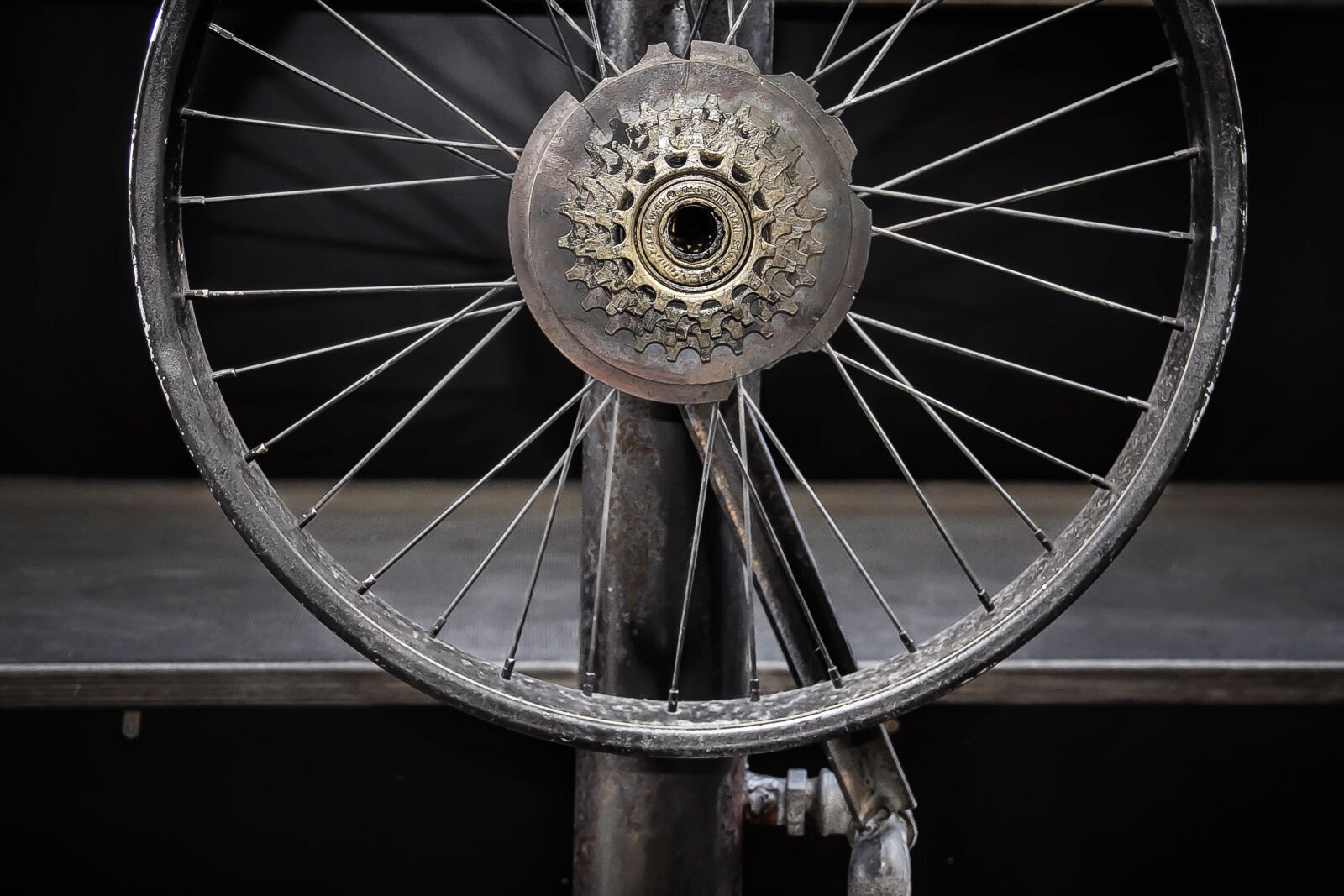 Canon EOS 60D sample photo. Wheel, spoke, axis photography