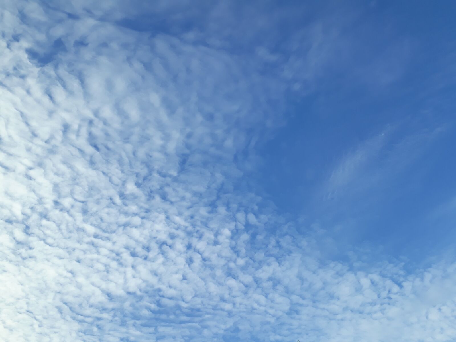 Samsung Galaxy J5 Prime sample photo. Sky, blue white, cloud photography