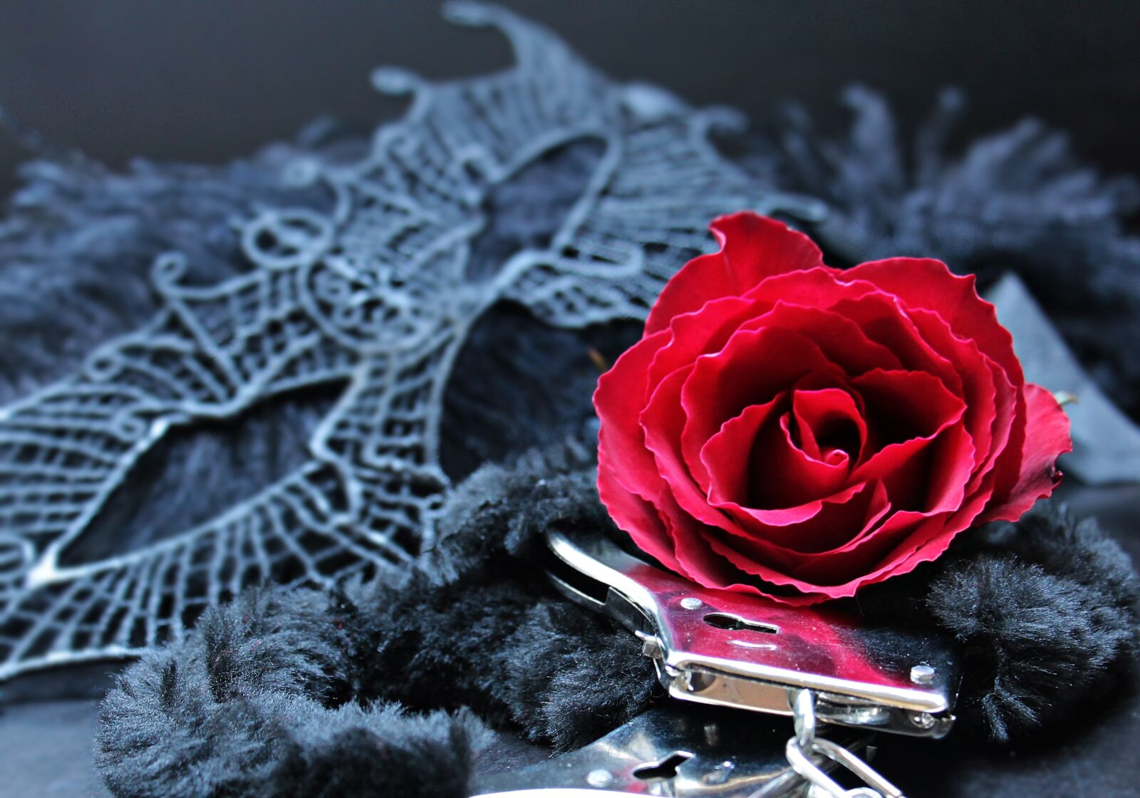 Canon EOS 550D (EOS Rebel T2i / EOS Kiss X4) sample photo. Mask, handcuffs, roses photography