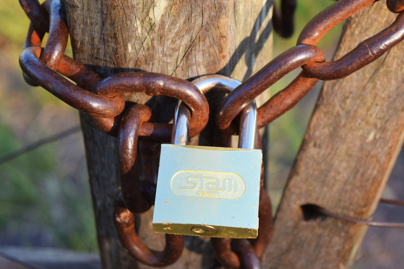 Nikon D3300 sample photo. String, padlock, wood photography