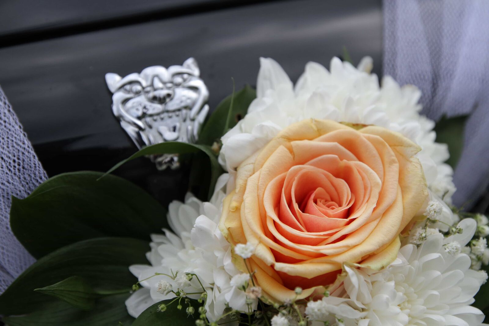 Canon EOS 7D sample photo. Bouquet, groom, wedding, rose photography