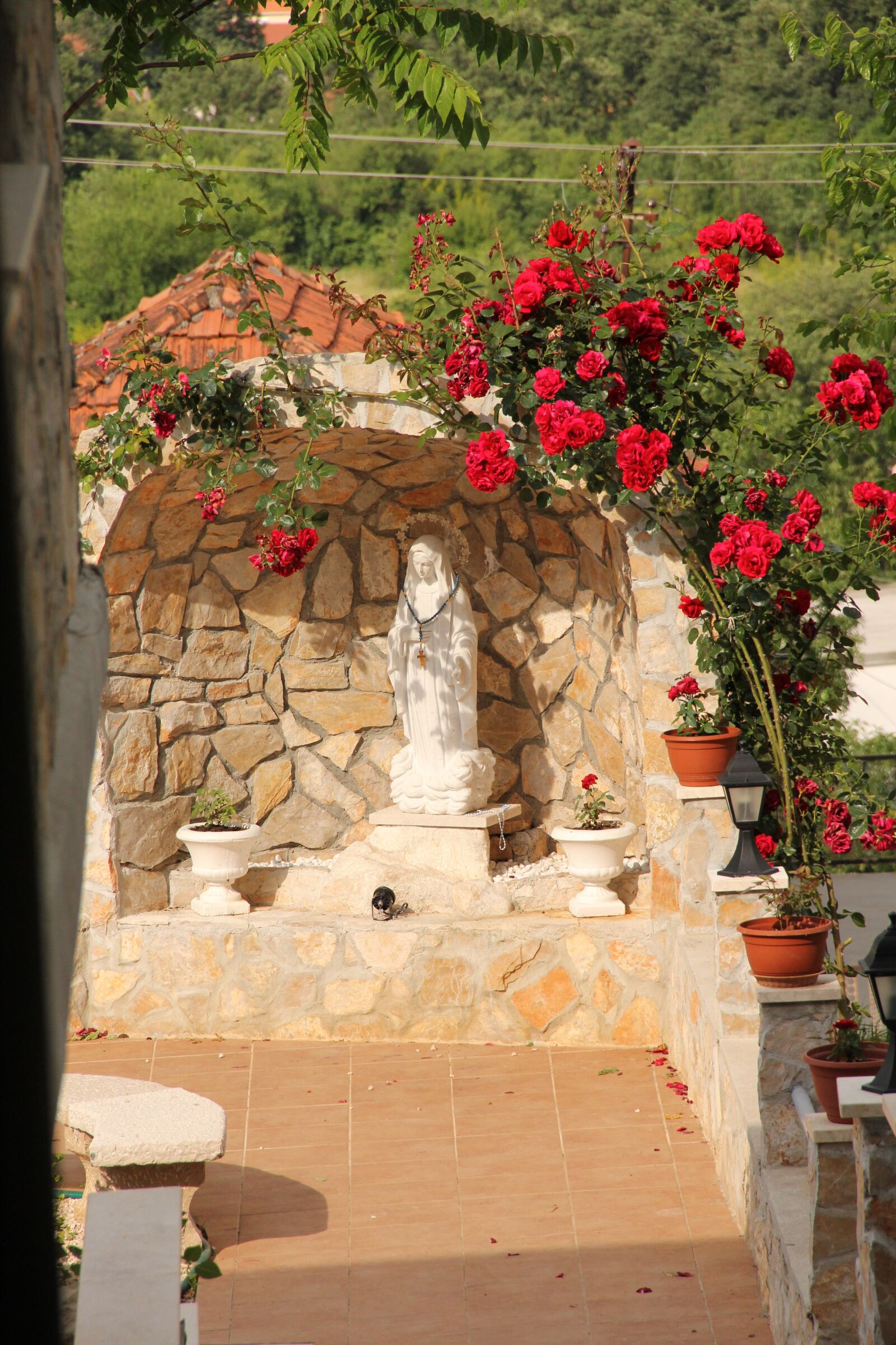 Canon EOS 60D sample photo. Red flowers, mother, sky photography