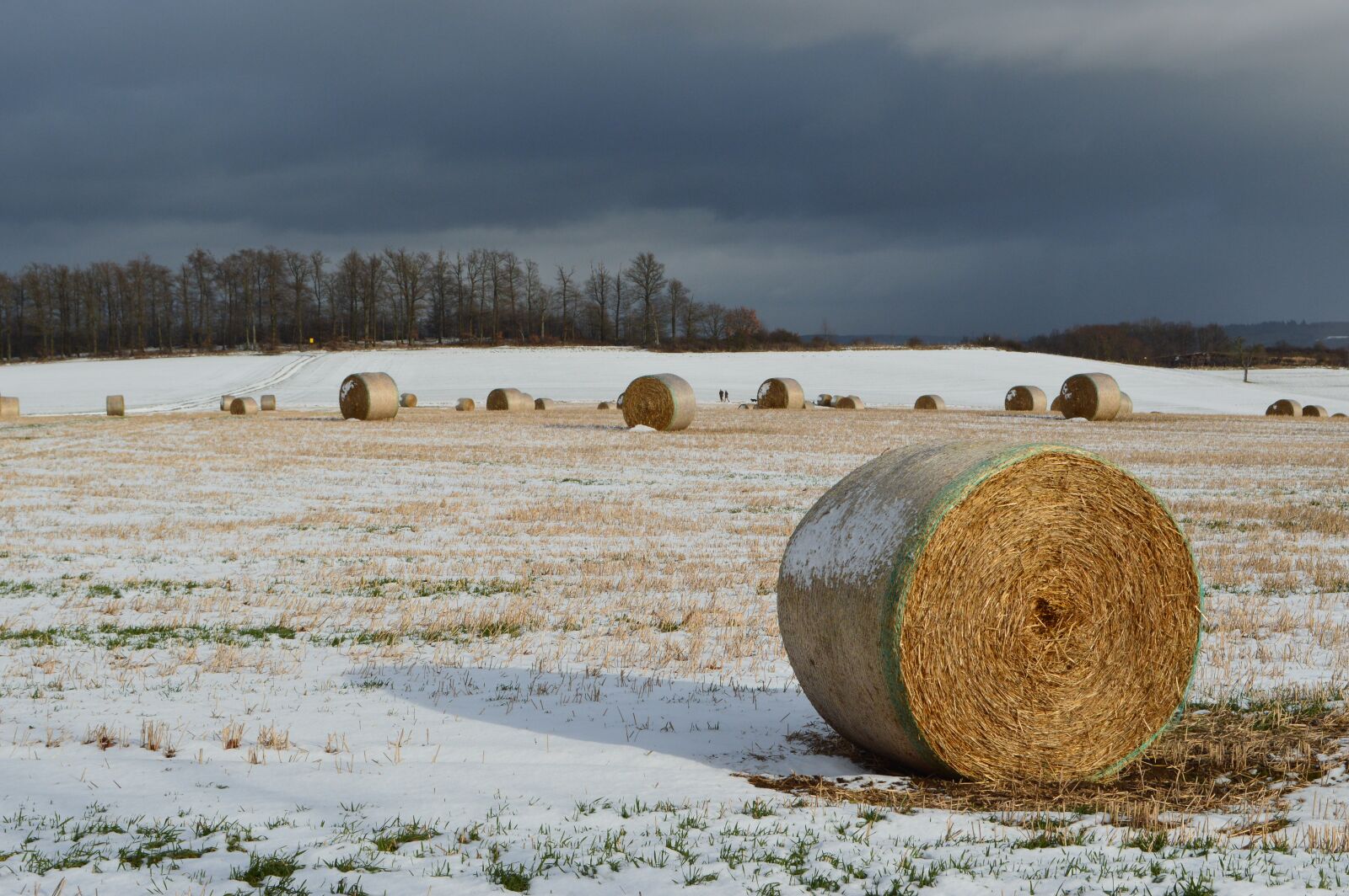 Nikon D3200 sample photo. Kunkskopf, eifel, east eifel photography