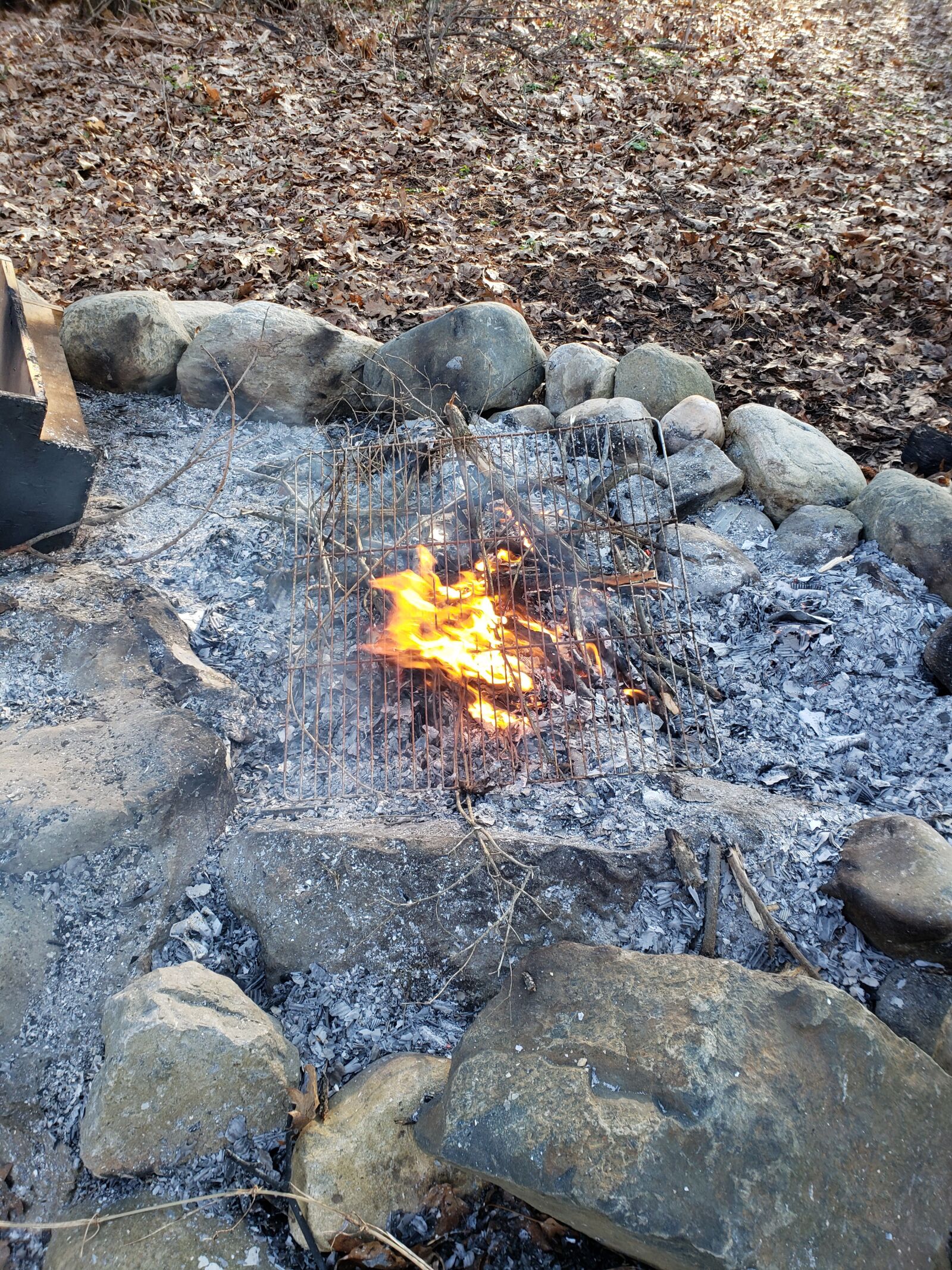 Samsung Galaxy S9+ sample photo. Campfire, woods, embers photography