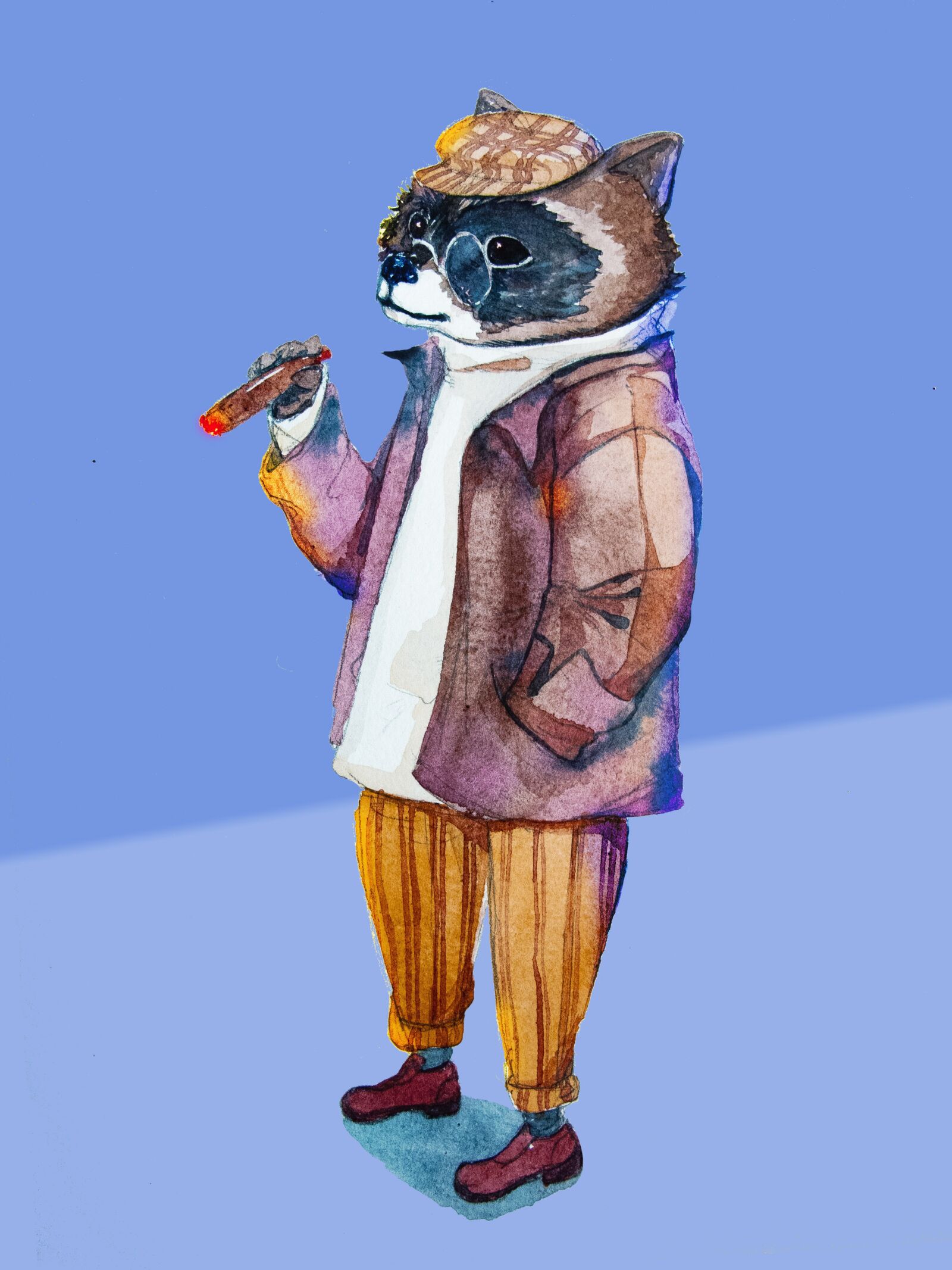 Canon PowerShot G11 sample photo. Raccoon, outfit, glasses photography