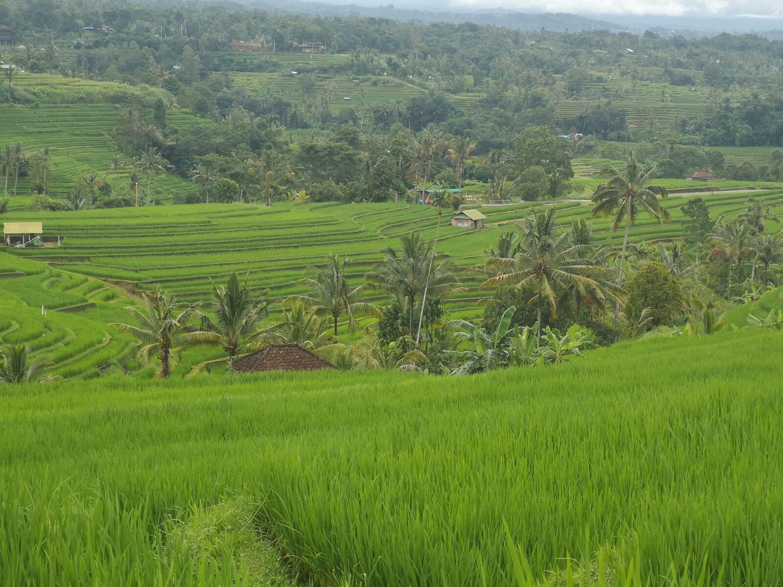 HUAWEI CLT-L09 sample photo. Bali, travels race, field photography