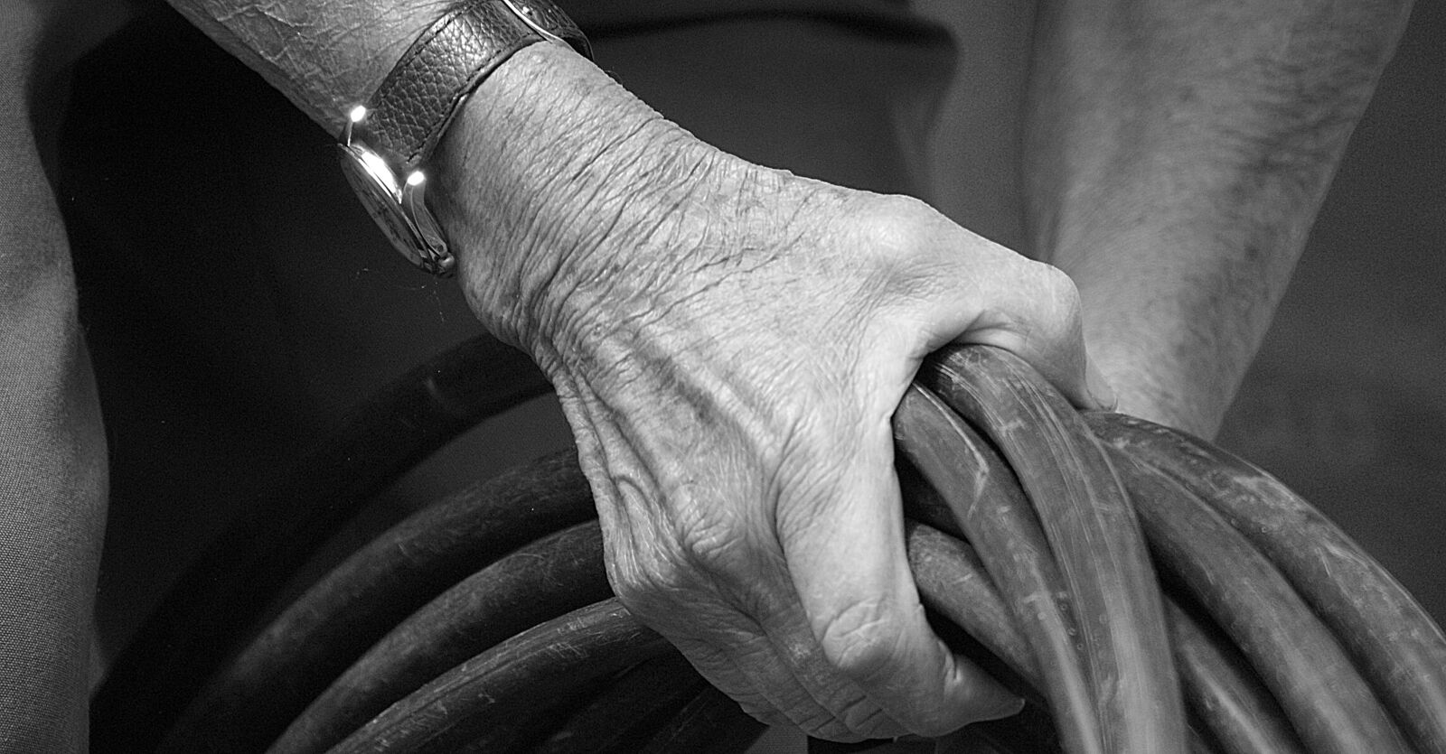 Sony Alpha DSLR-A390 sample photo. Black and white, image photography