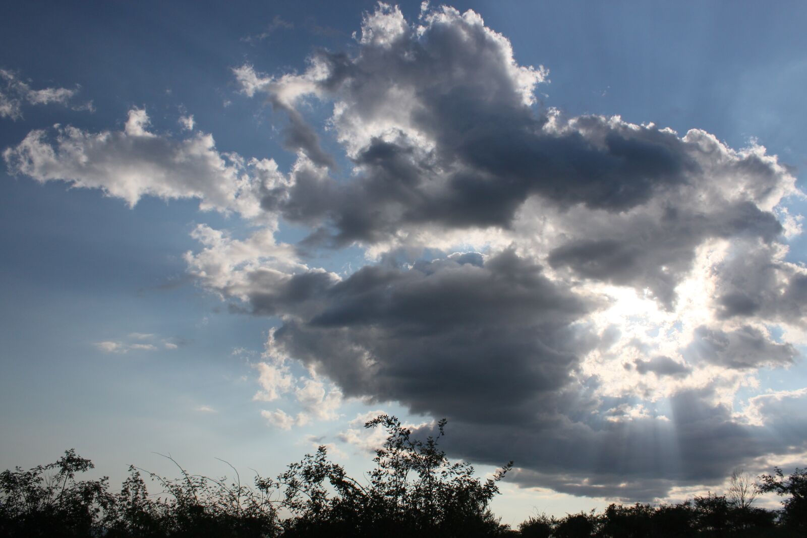 Canon EOS 500D (EOS Rebel T1i / EOS Kiss X3) sample photo. Blue, bright, clouds photography