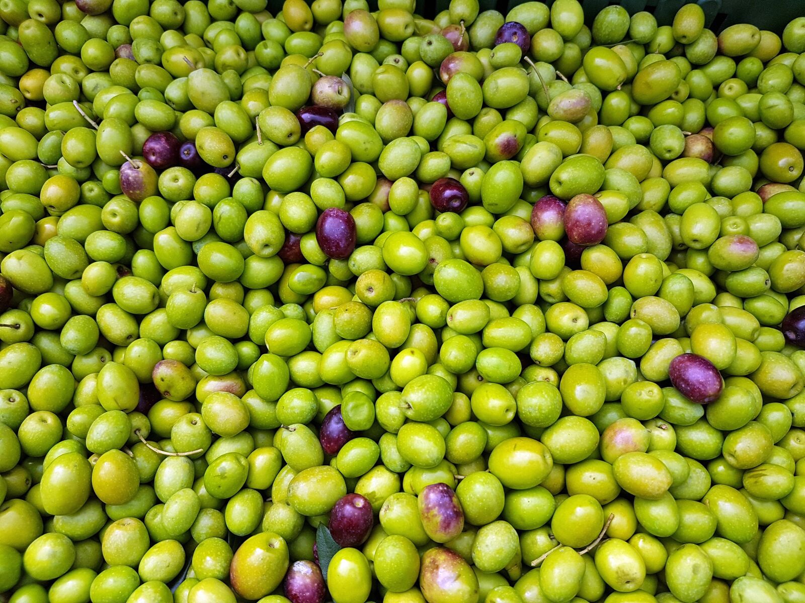 Samsung Galaxy S7 sample photo. Olives, fruit, mediterranean photography