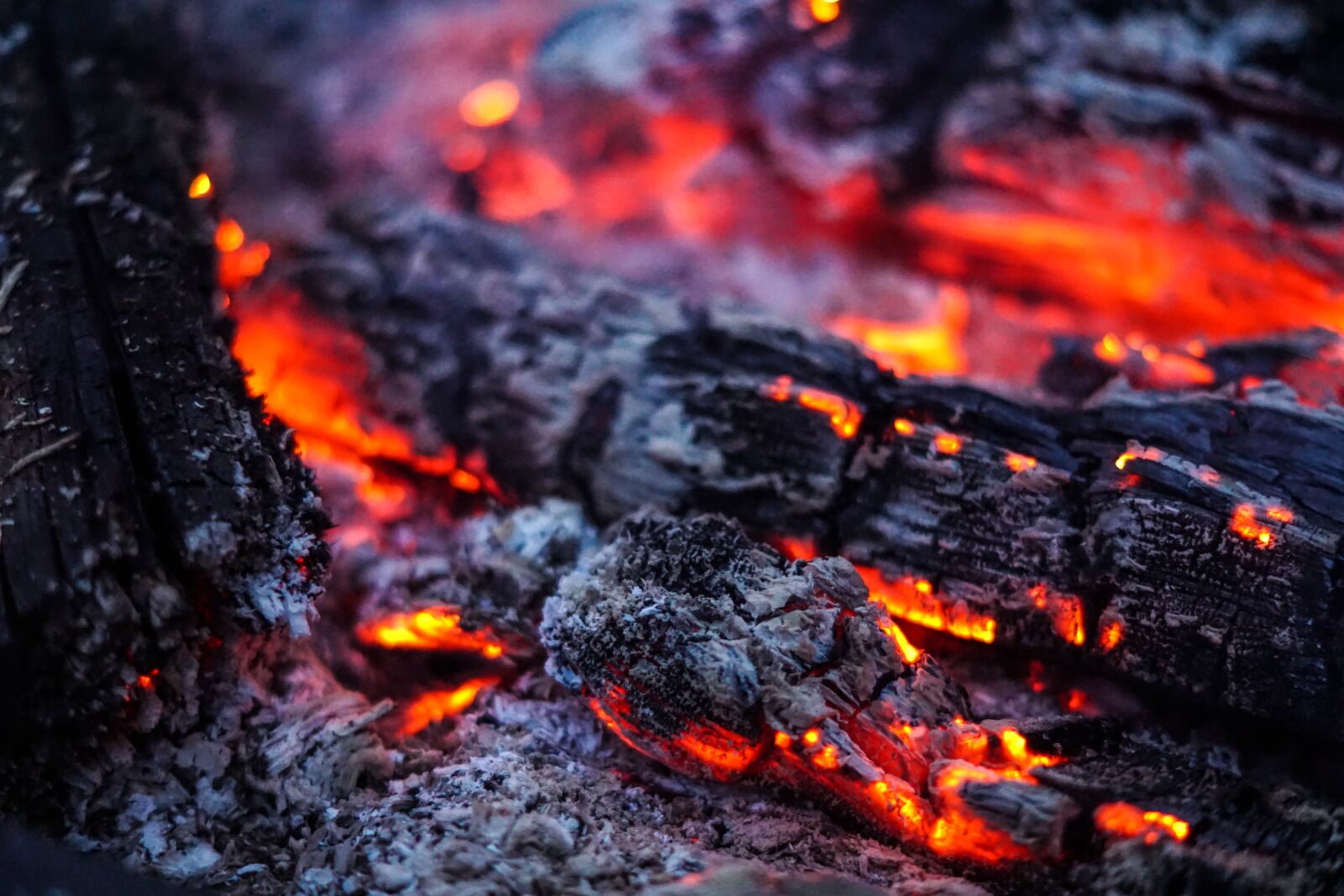 Sony ILCA-77M2 + Sony DT 50mm F1.8 SAM sample photo. Carbon, fire, embers photography