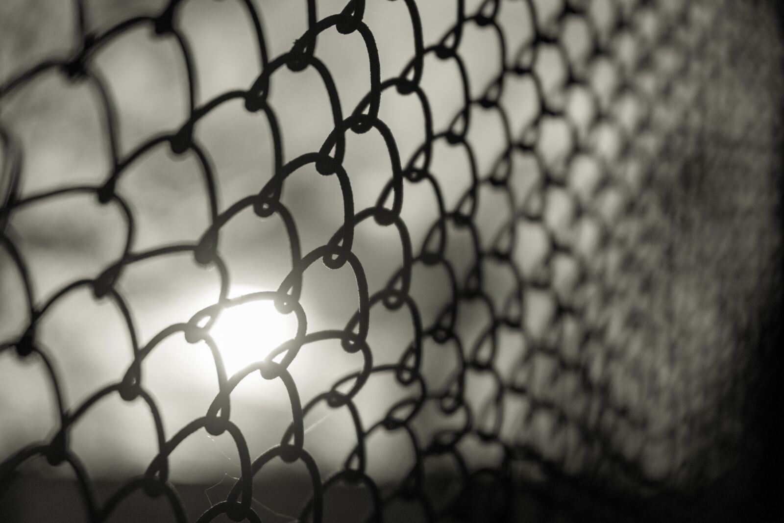Fujifilm X-T3 sample photo. Fence, wire, net photography