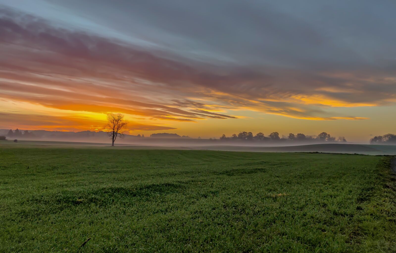 OnePlus 6 sample photo. Sunrise, autumn, green photography