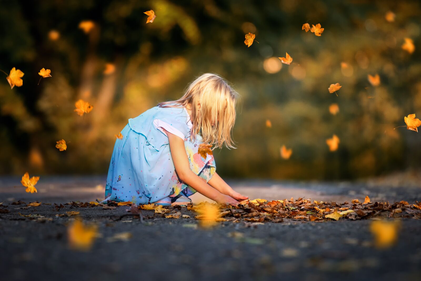 Tamron SP 70-200mm F2.8 Di VC USD sample photo. Child, autumn, childhood photography