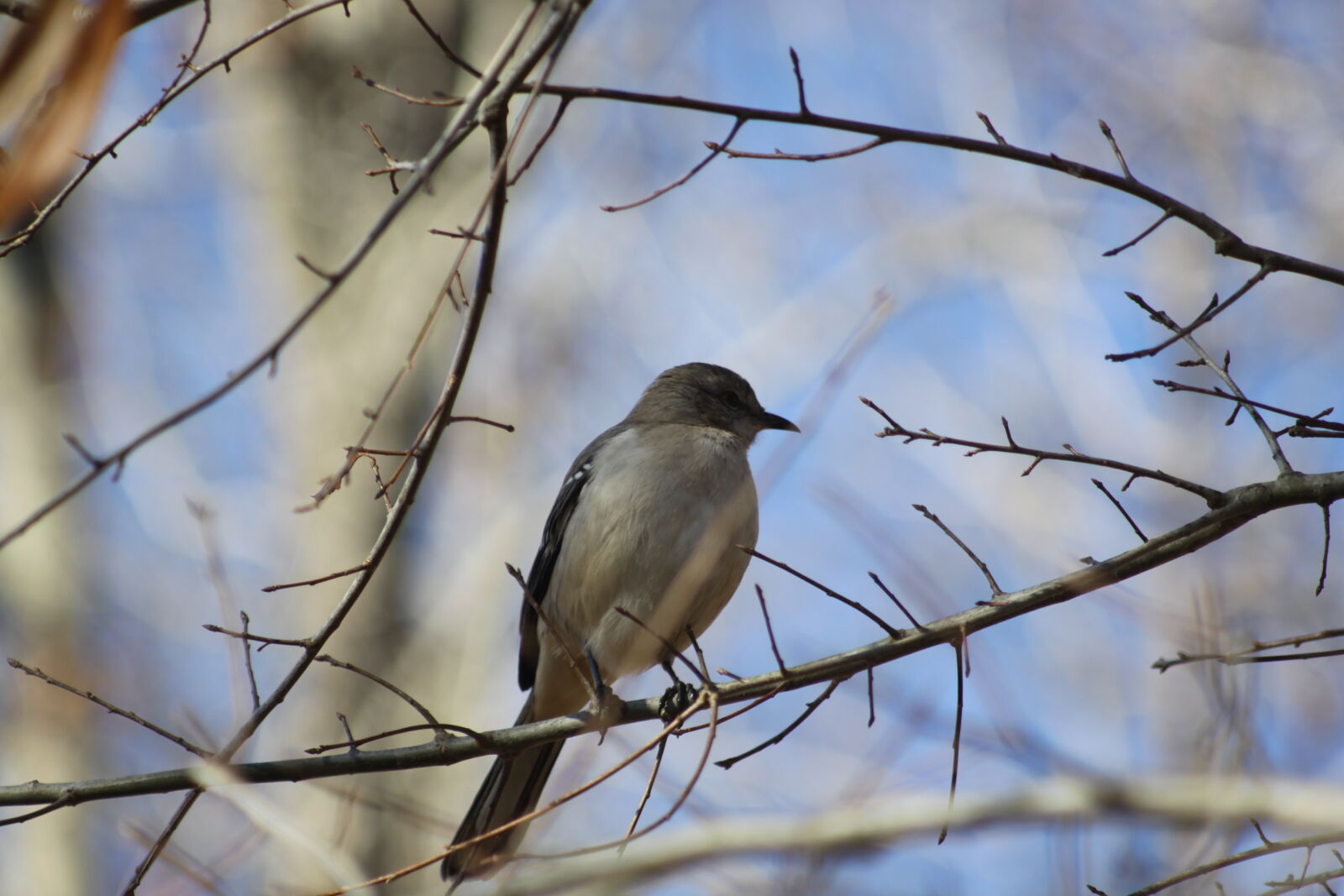 Canon EOS 50D sample photo