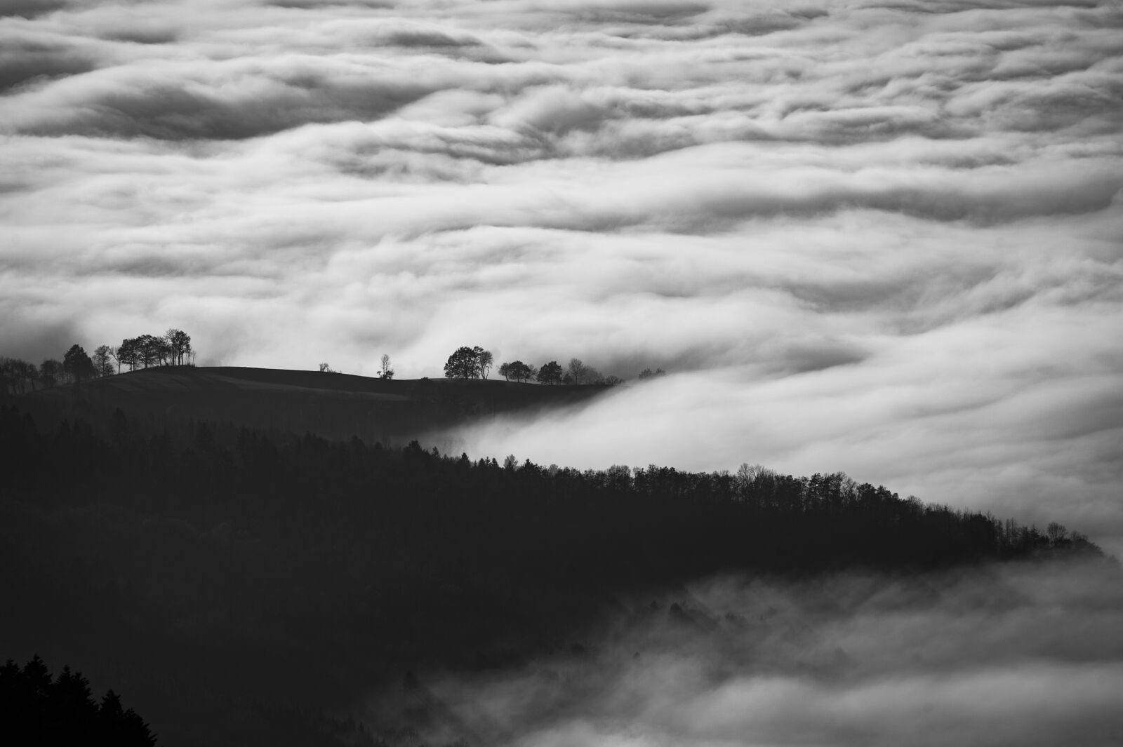 Nikon D700 sample photo. Sky, black and white photography