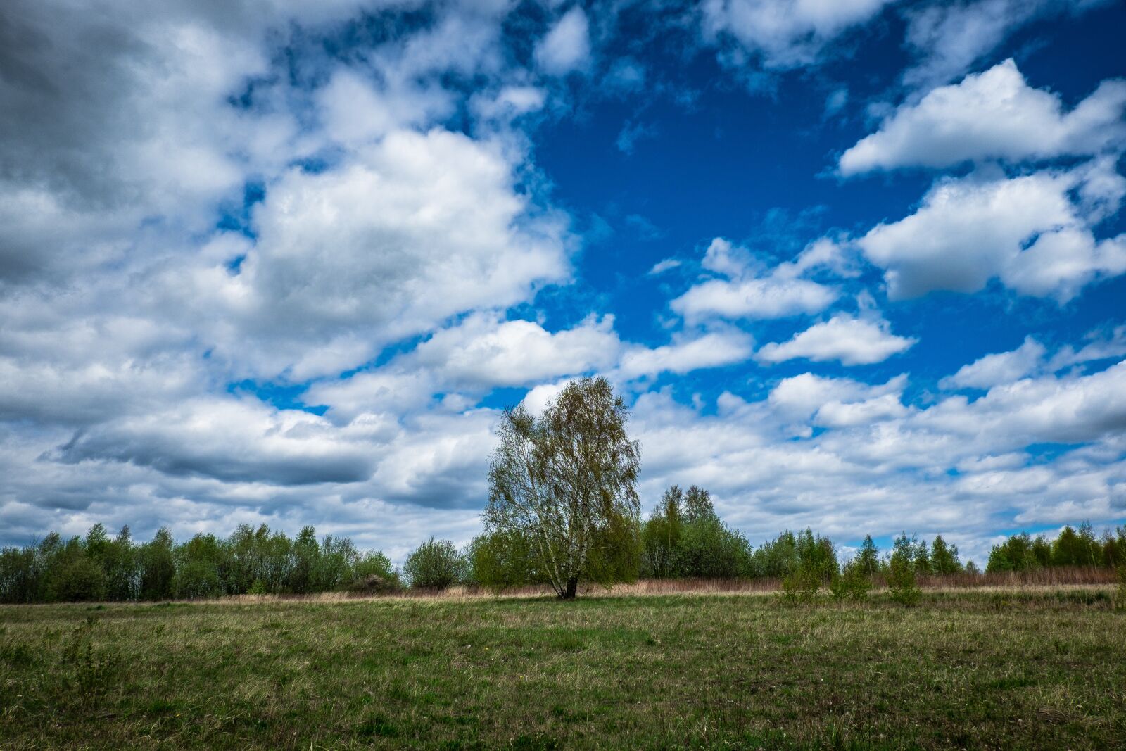 Fujifilm X-T10 sample photo. Landscape, poland, sky photography