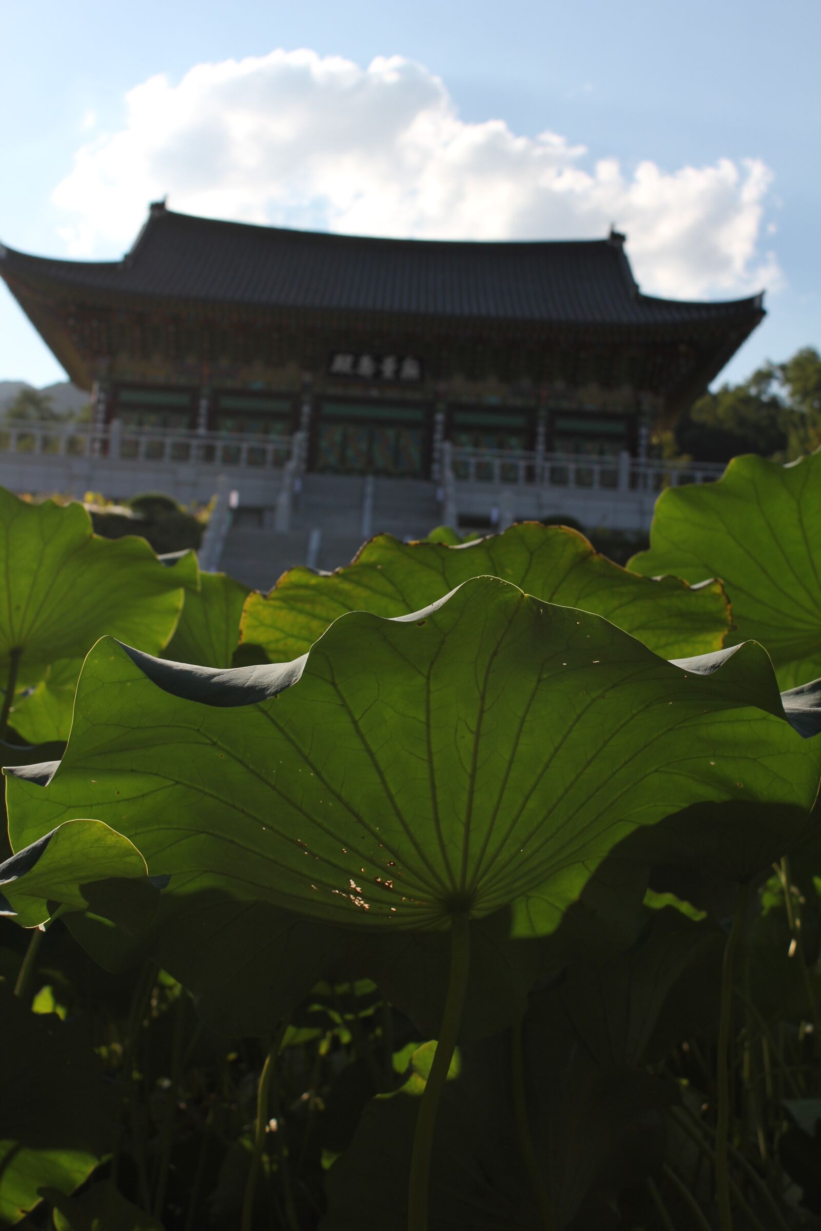 Canon EOS 550D (EOS Rebel T2i / EOS Kiss X4) sample photo. Section, temple, republic of photography