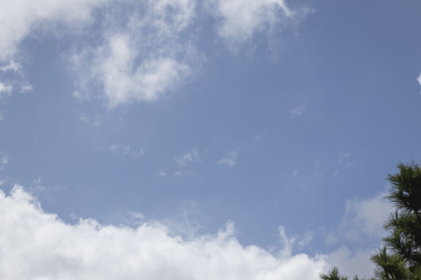 Canon EOS 80D sample photo. Blue sky, sky, cloud photography