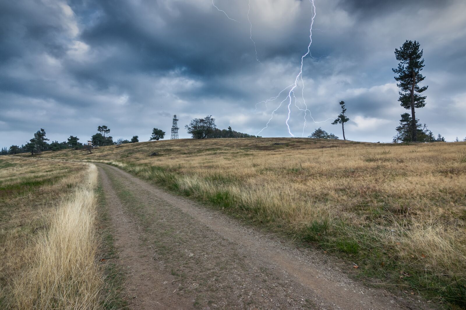 Nikon D5300 sample photo. Flash, thunder, forward photography