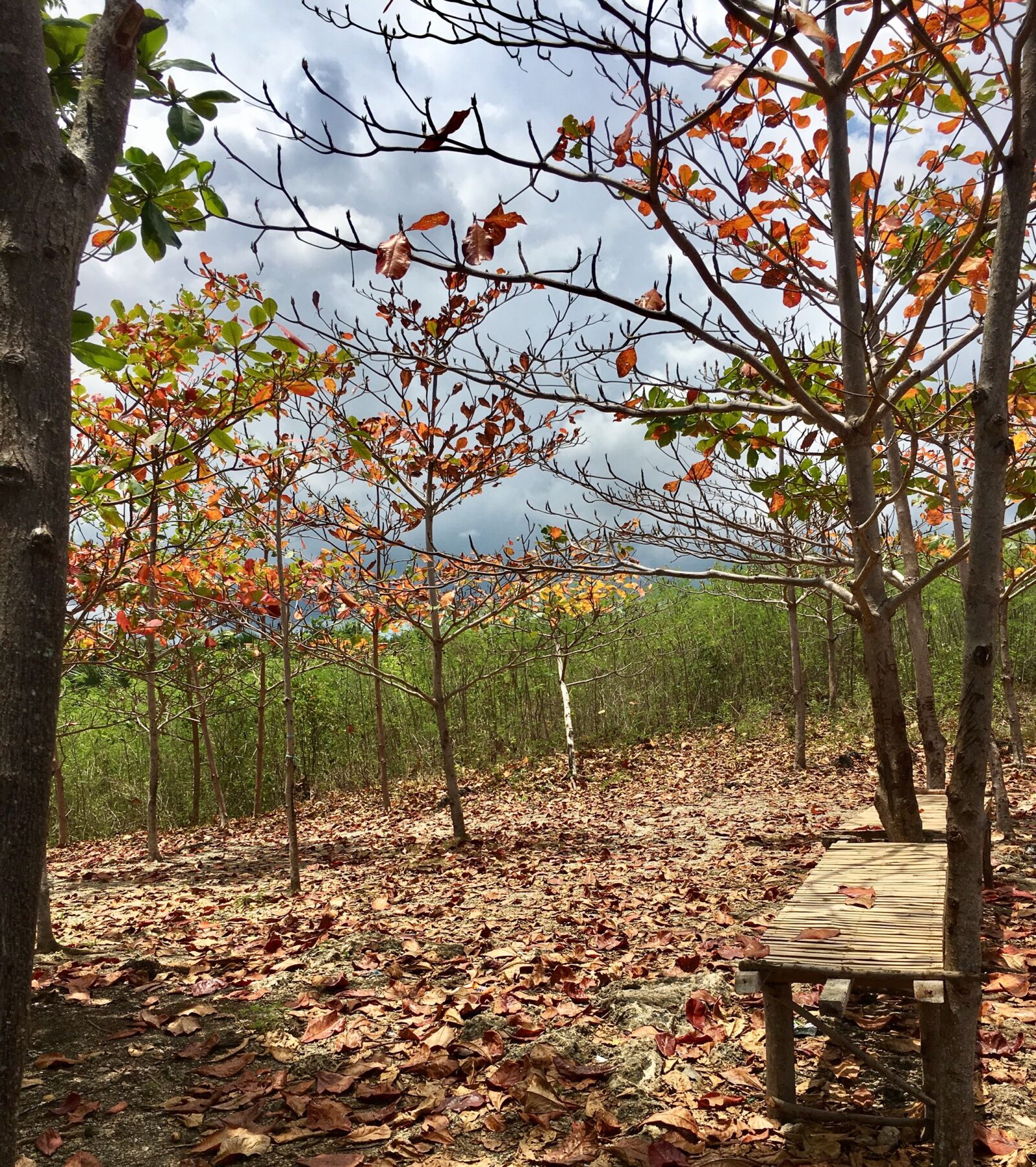 Apple iPhone 6s sample photo