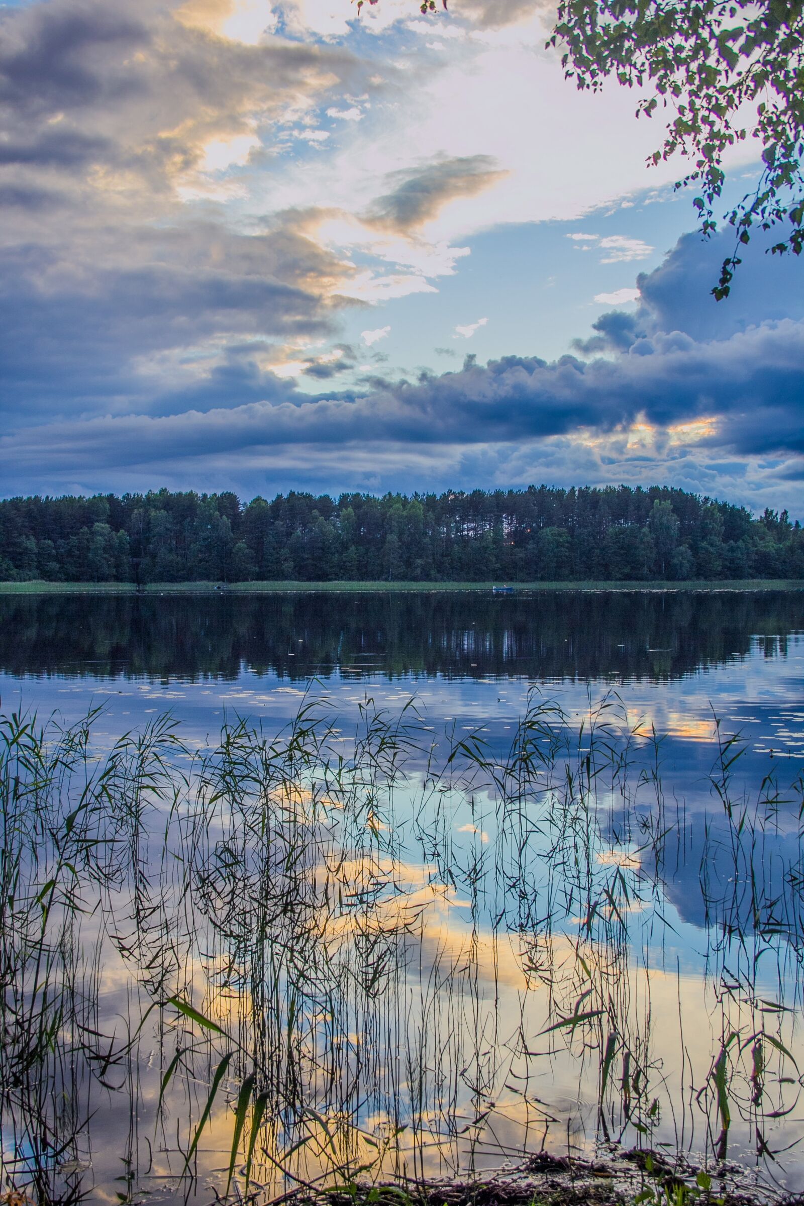 Canon EF-S 18-135mm F3.5-5.6 IS sample photo. Evening, lake, reflection photography