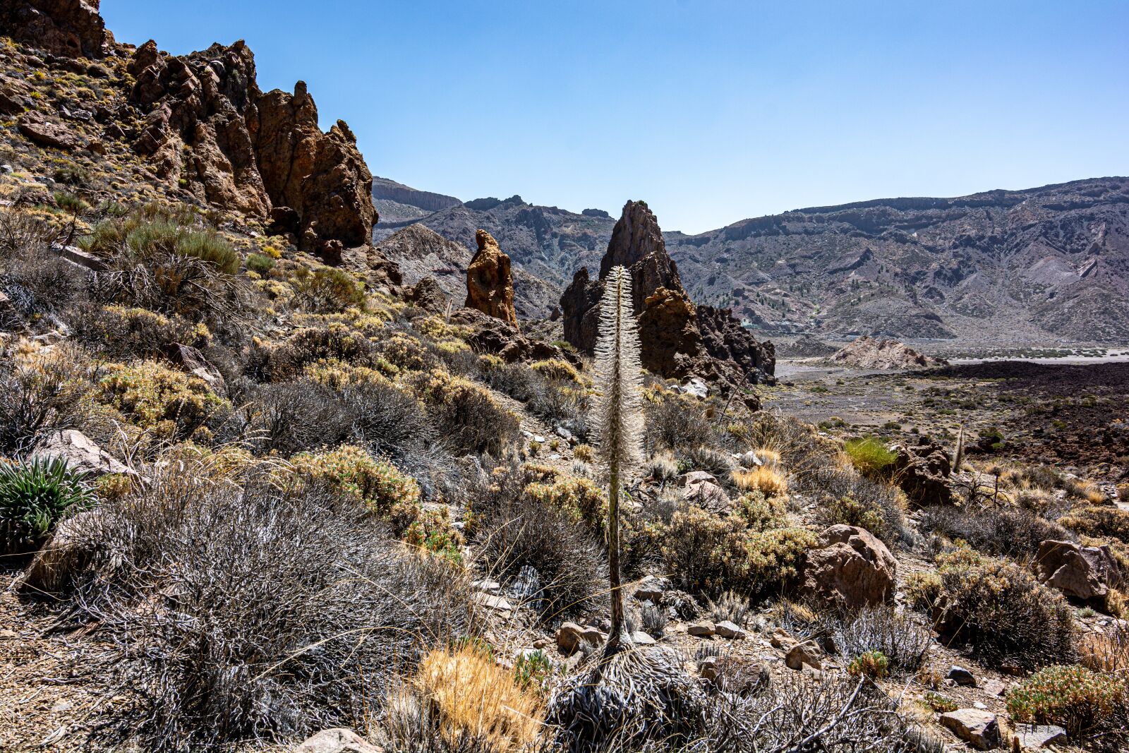 Nikon D7100 sample photo. Nature, rock, stones photography