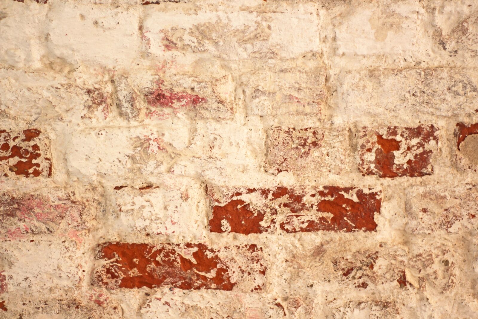 Canon EOS 700D (EOS Rebel T5i / EOS Kiss X7i) sample photo. Background, wall, lime paint photography