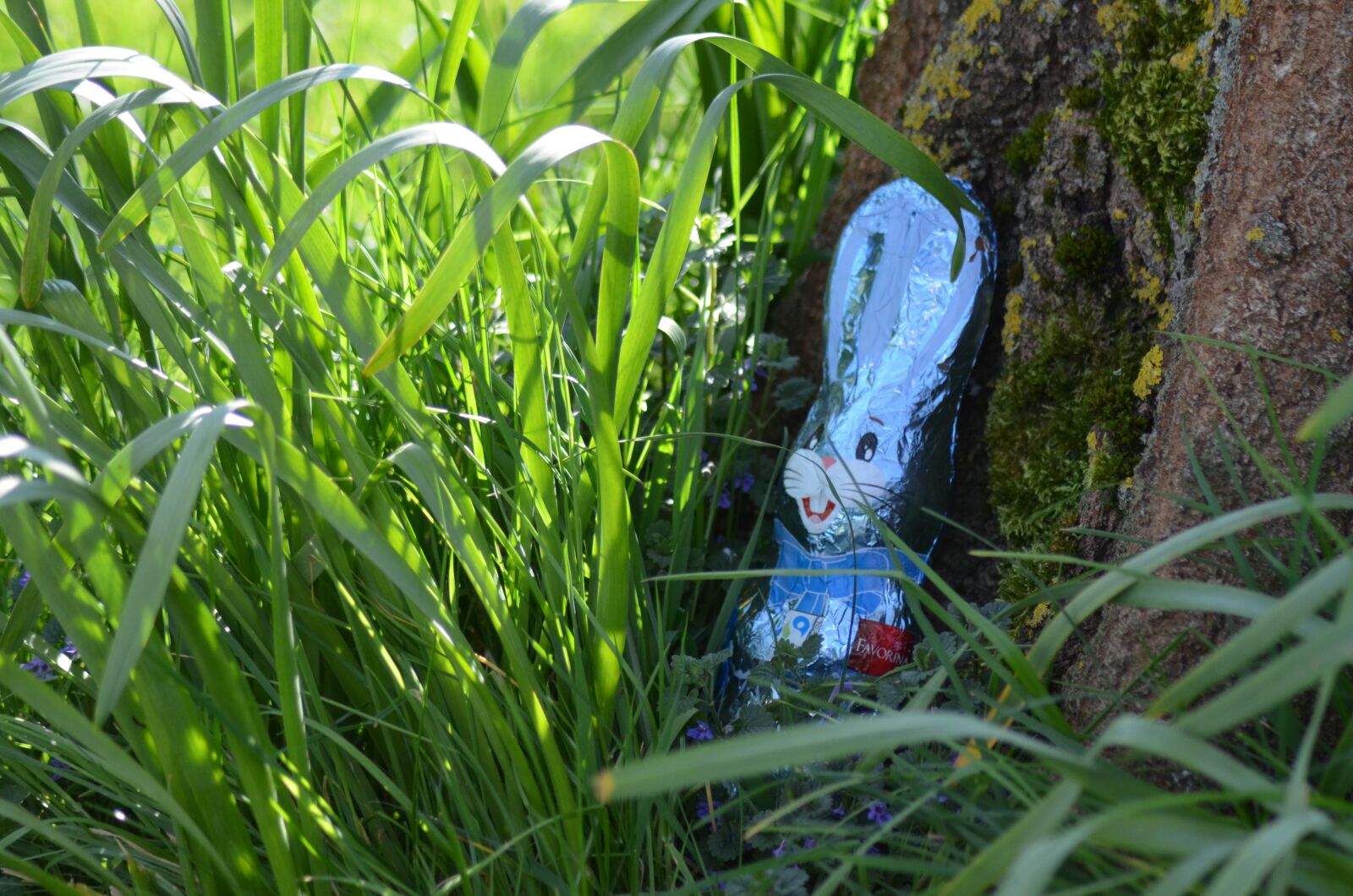 Nikon D5100 sample photo. Easter, chocolate easter, chocolate photography
