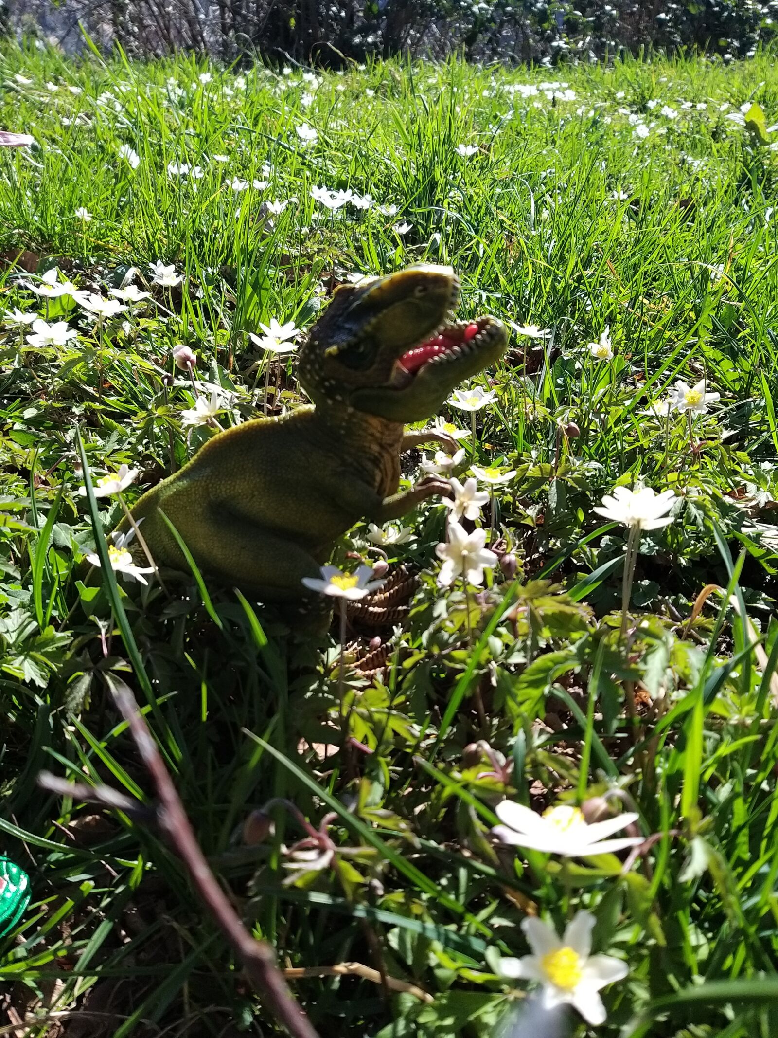 Samsung Galaxy A9 (2018) sample photo. Dinosaur, meadow, nature photography