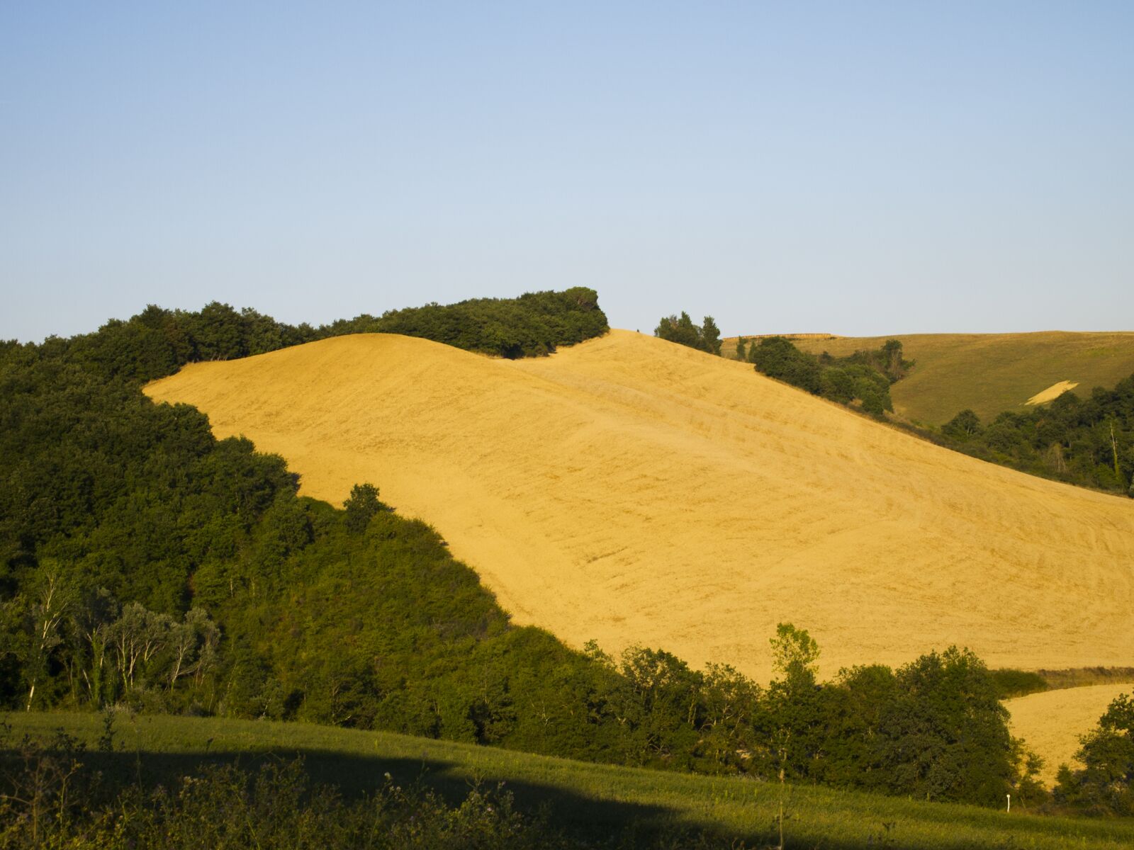 Olympus M.Zuiko Digital ED 14-42mm F3.5-5.6 L sample photo. Hills, tuscany, colors photography