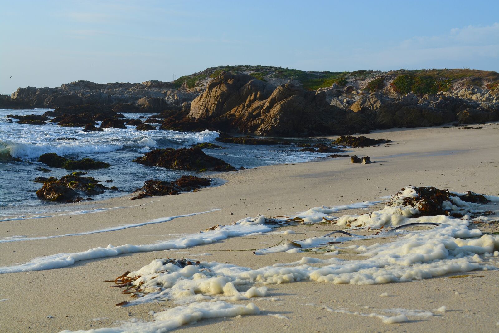 Nikon D5200 sample photo. Pacific, grove, beach photography