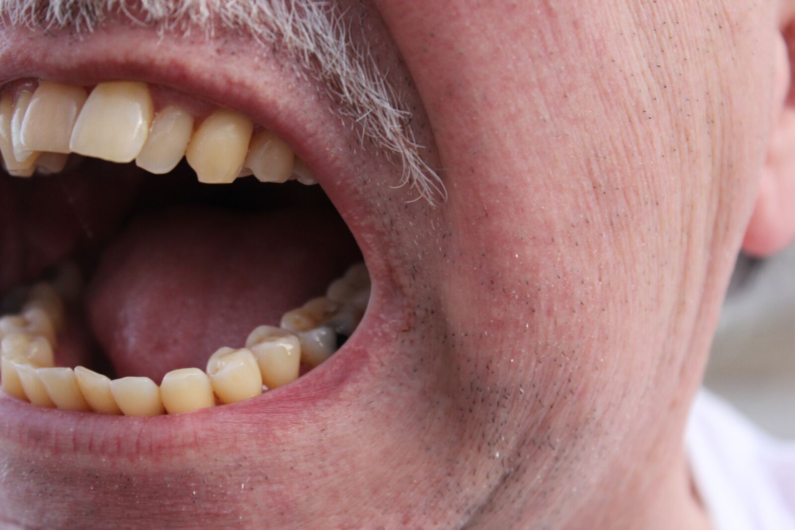 Canon EOS 60D sample photo. Yell, shout, scream photography