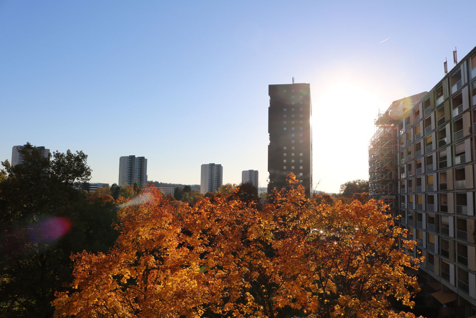Canon EOS 750D (EOS Rebel T6i / EOS Kiss X8i) sample photo