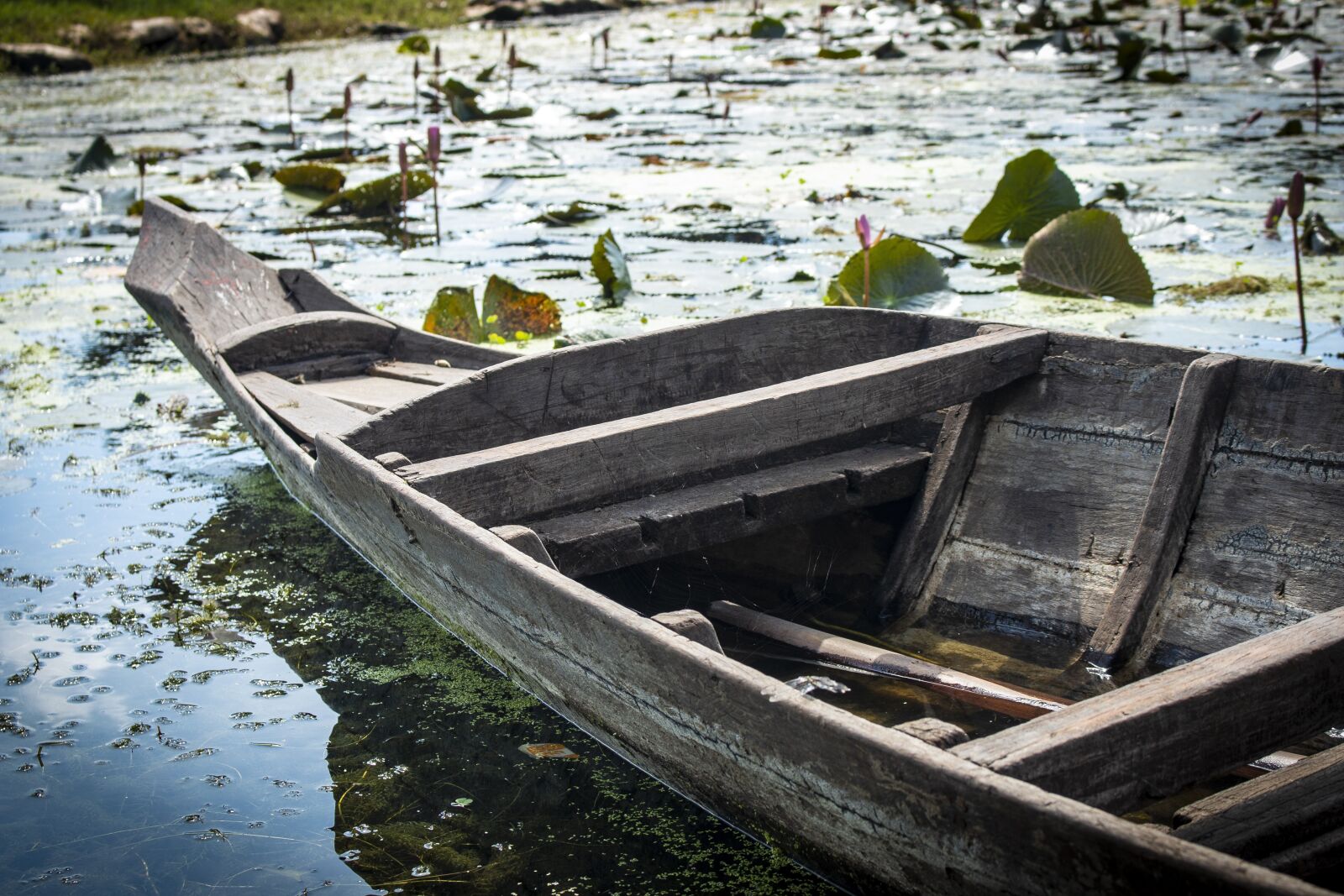 Canon EOS 70D sample photo. Boat, wooden boat, rowing photography