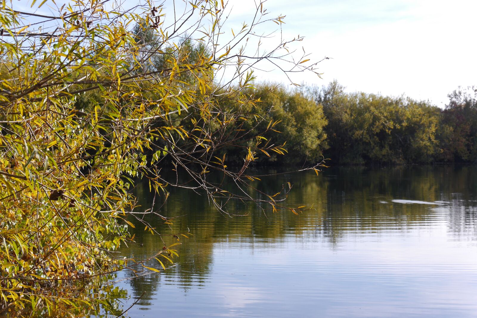 Panasonic Lumix DMC-G6 sample photo. Autumn, golden autumn, water photography