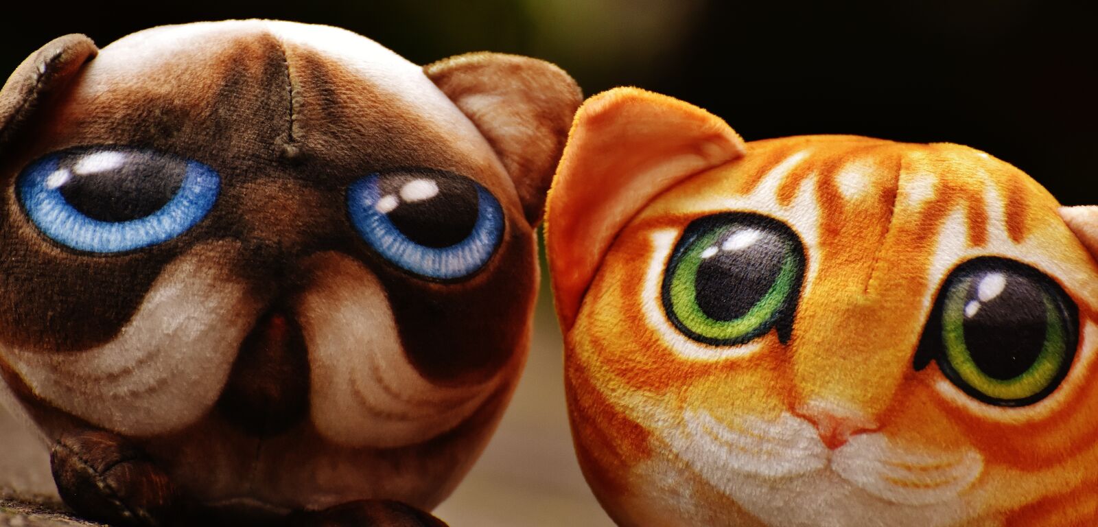 Nikon D7200 sample photo. Cat, stuffed animals, cute photography