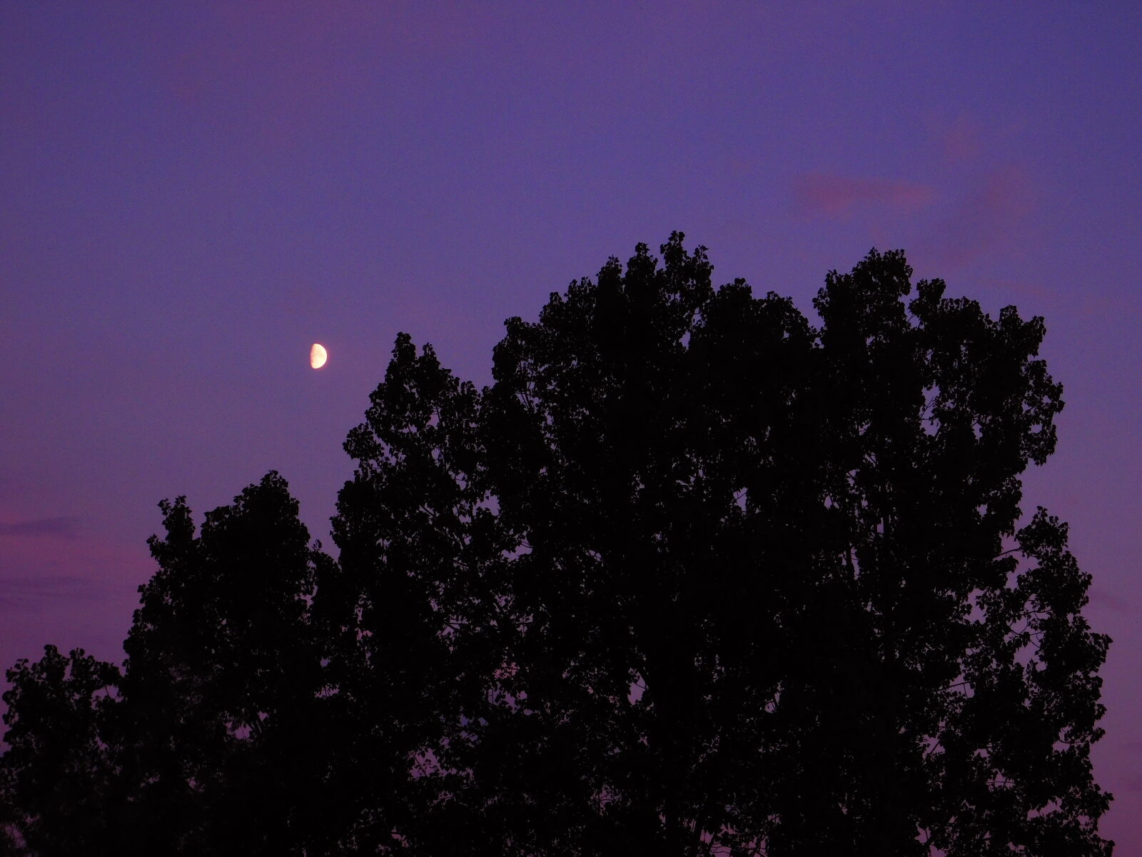 Nikon Coolpix L840 sample photo